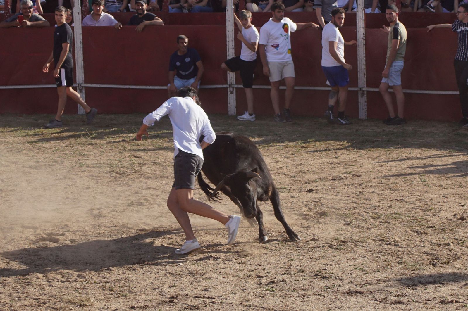 capea-fiestas-de-carrascal-de-barregas-24