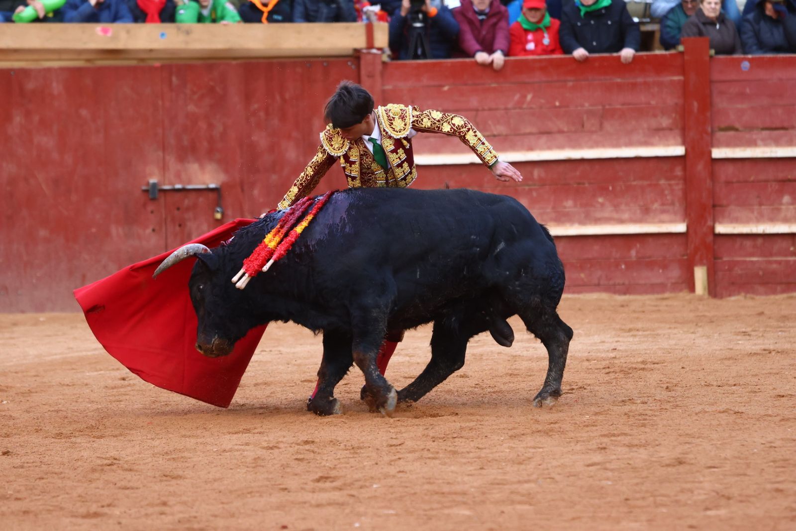 Novillada con picadores de lunes en el Carnaval del Toro de Ciudad Rodrigo 2026