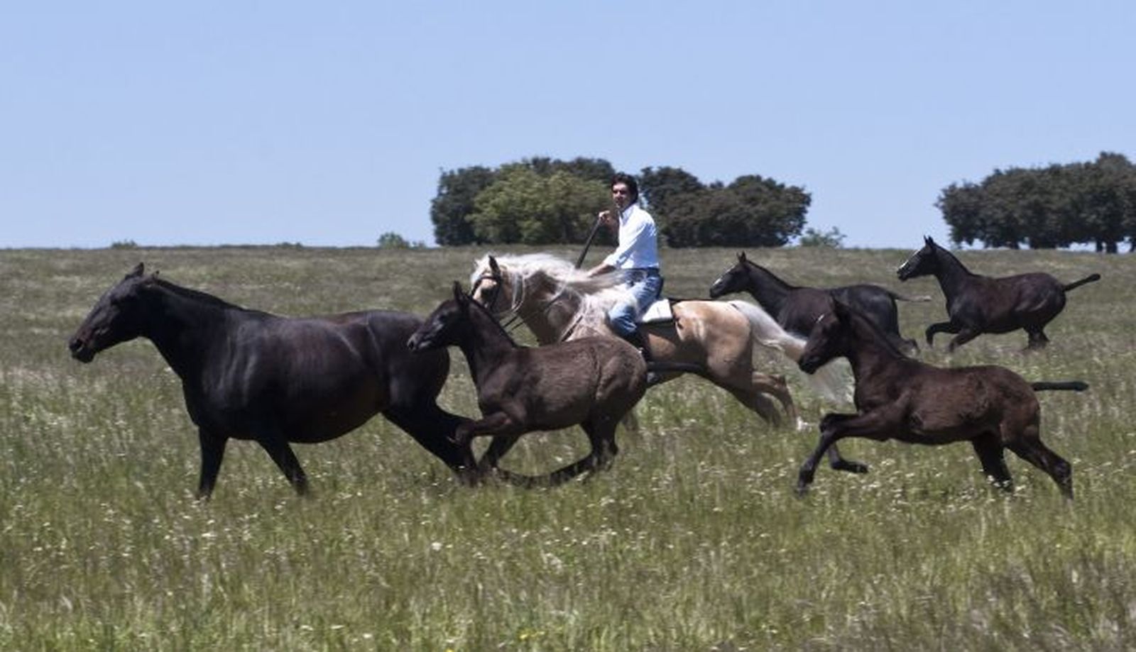 labores de campo2 YGD