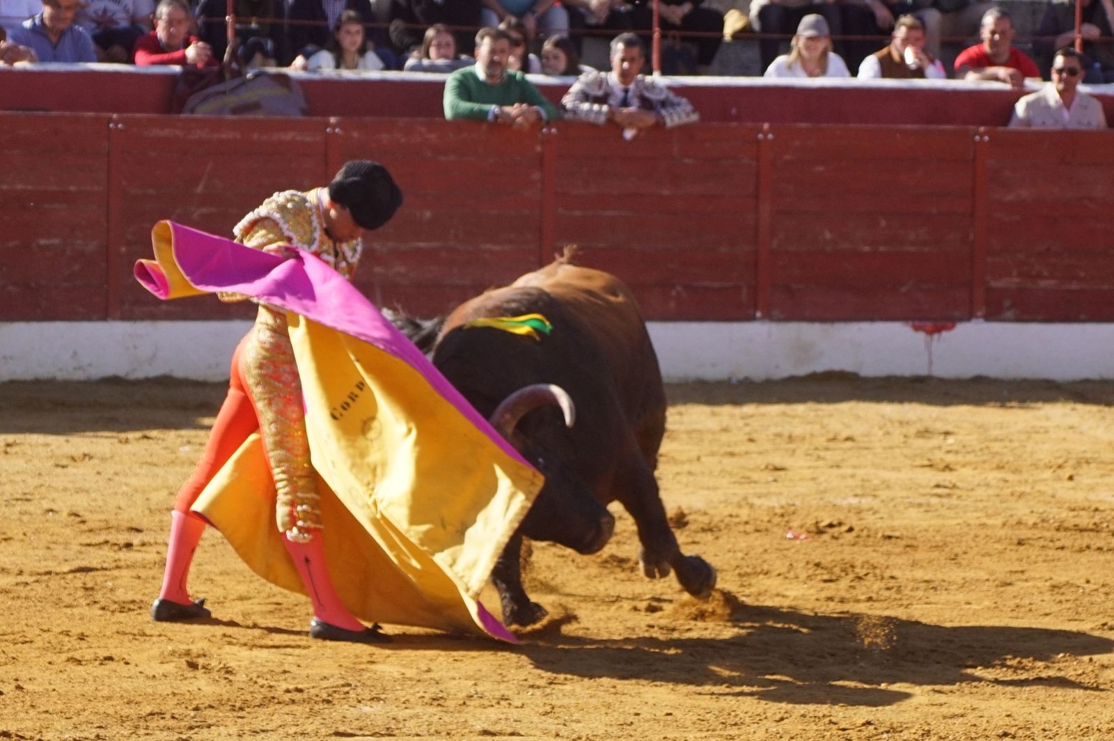 novillada-con-picadores-en-villoria-47