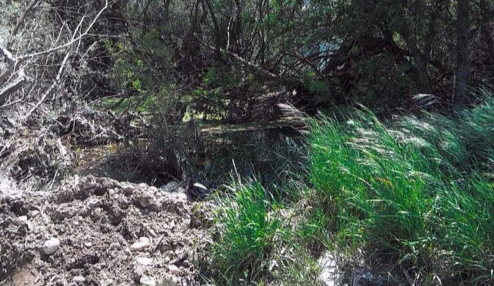 Asaja pide a la Confederación que limpie cauces de ríos y regatos colindantes con parcelas