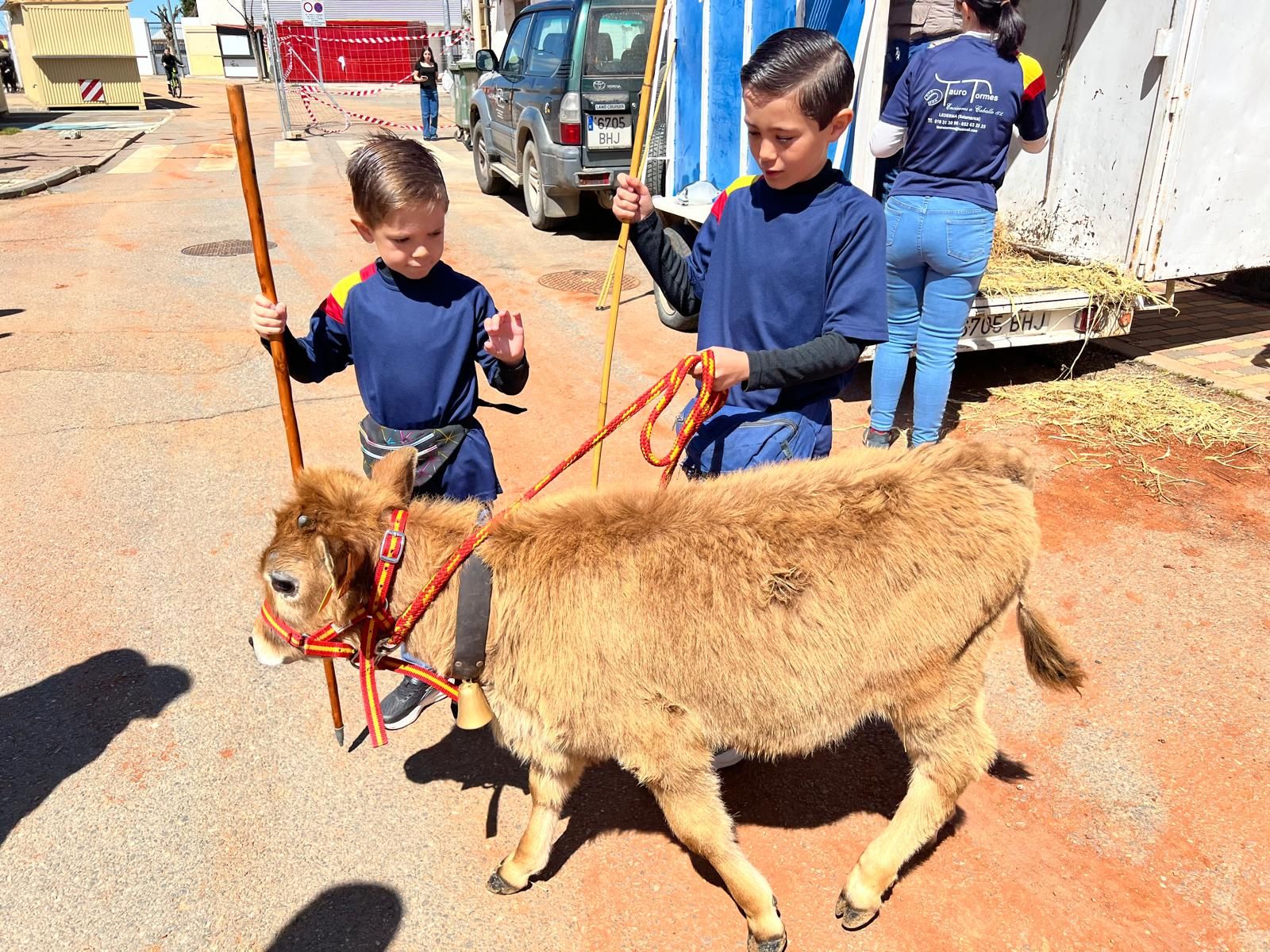 mini-bueyes-en-elas-fiestas-de-doninos-2025-6