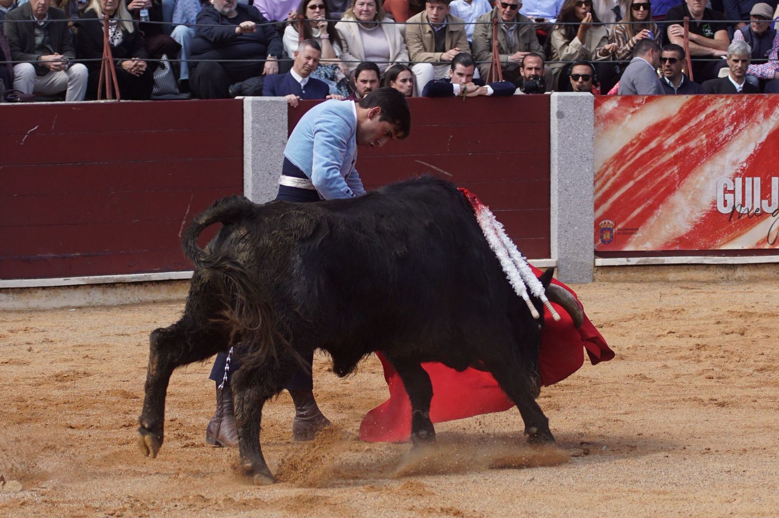 Festival taurino solidario por la esclerosis múltiple en Guijuelo
