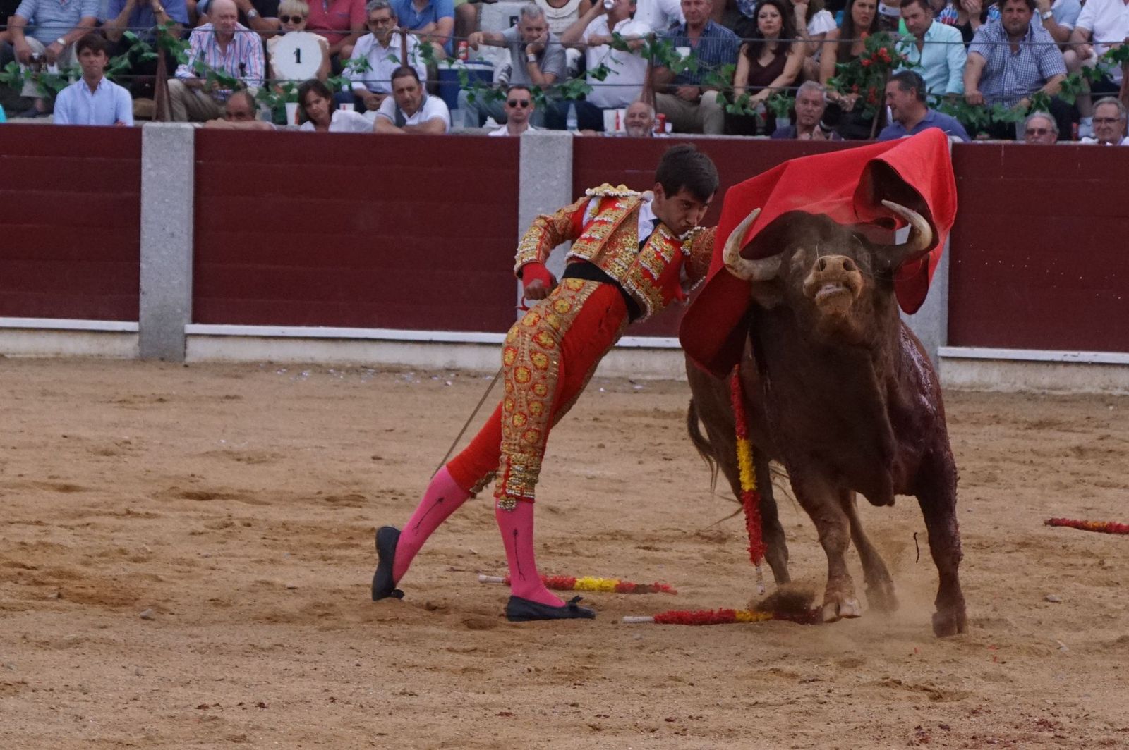 corrida-rejones-guijuelo-5
