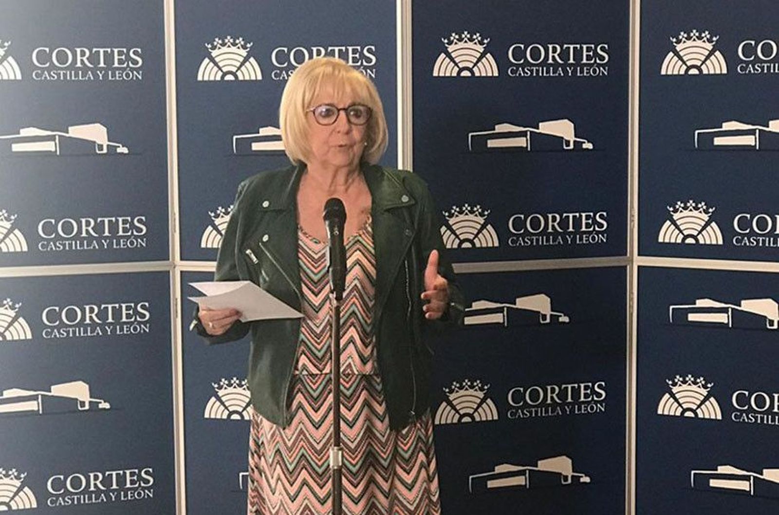 PSOE Zamora. Inmaculada García Rioja. Procuradora Cortes CyL 2019