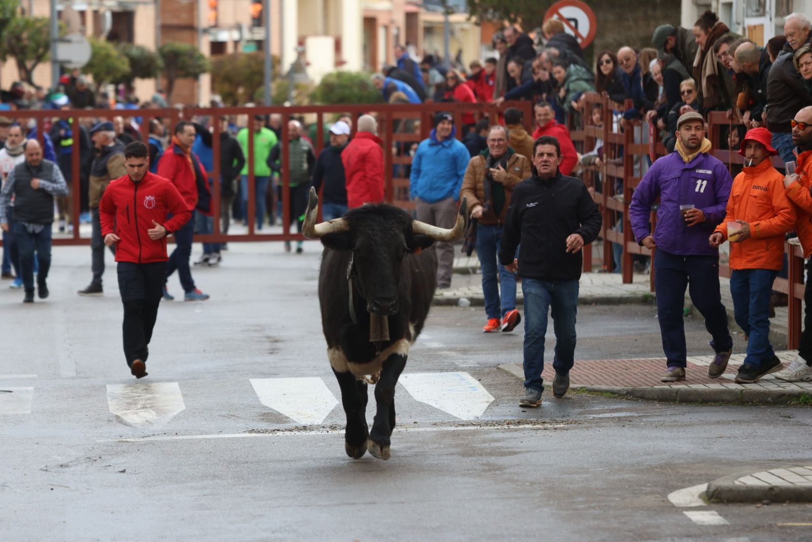 Encierro del lunes de Carnaval en Ciudad Rodrigo, toros de Fermín Bohórquez