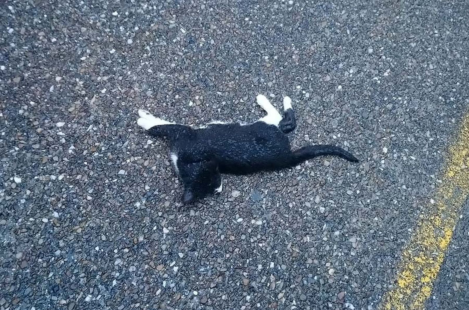 123767268 4132267580133478 1262957192317181847 o