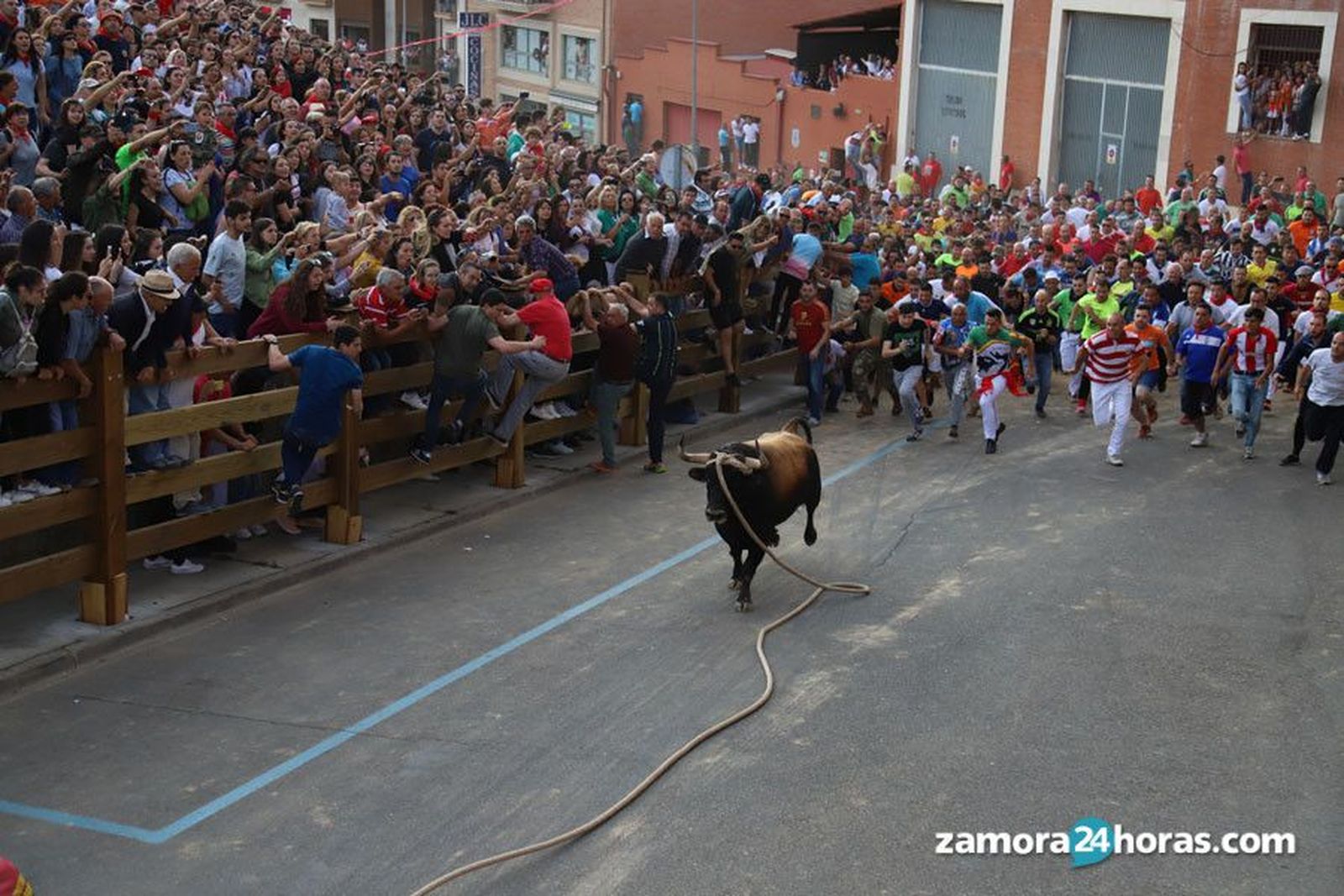 Toro Enmaromado.Archivo. Fotos: María Lorenzo