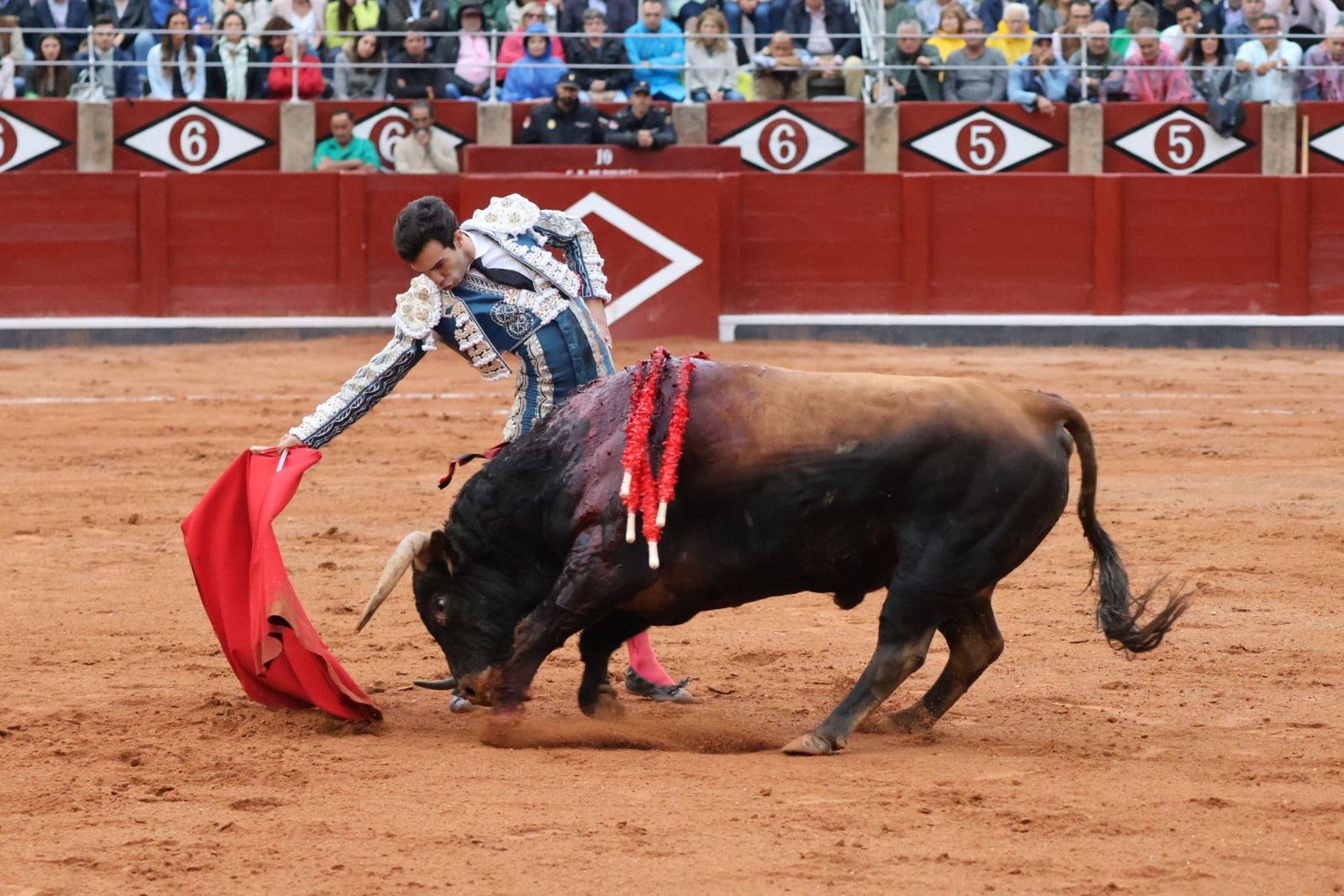 20230916190804-img-5661