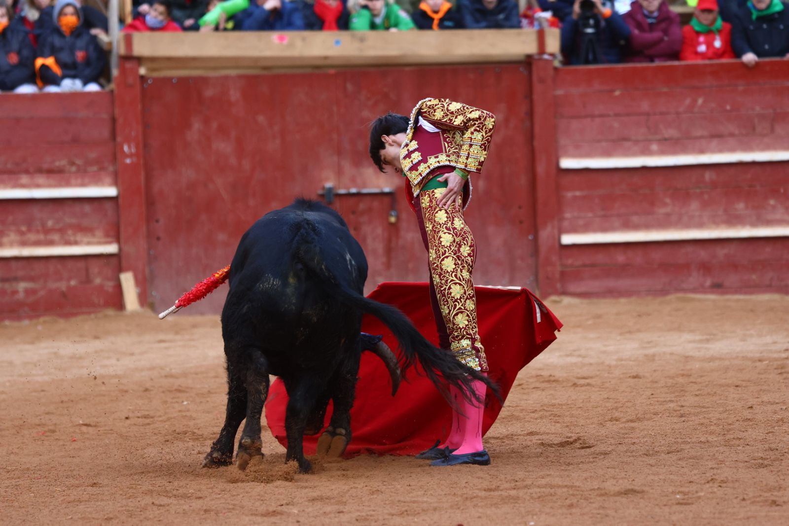 Novillada con picadores de lunes en el Carnaval del Toro de Ciudad Rodrigo 2026