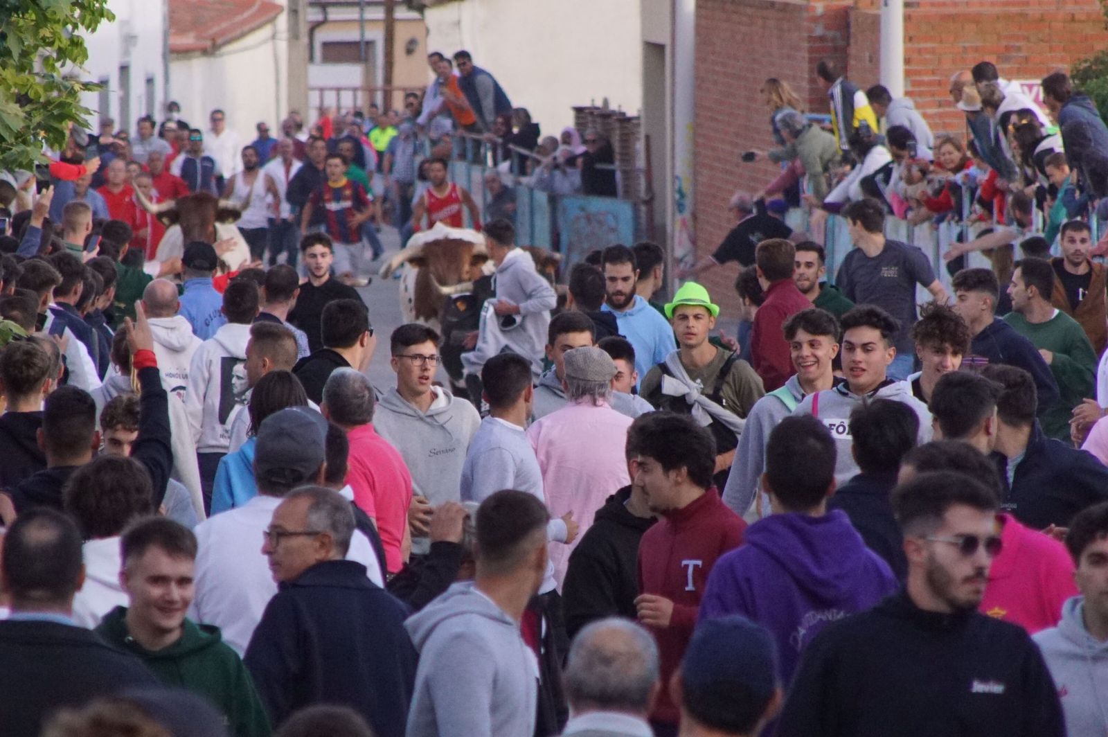 17121bbc-e6bc-4d7d-be1c-cf2114ccbbfc