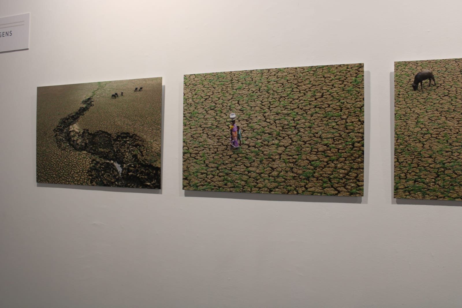 exposicion-transversalidades-fotografia-sin-fronteras-13