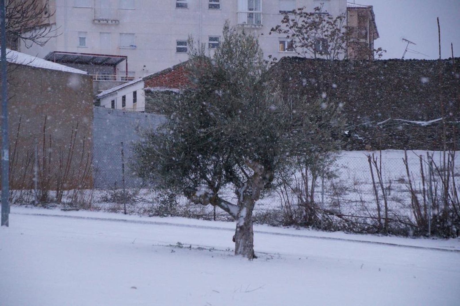 nieve-en-alba-de-tormes-17