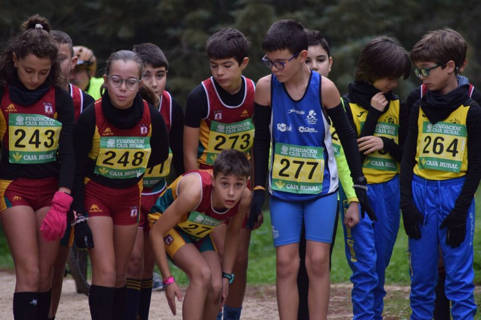 cross-de-otono-en-el-bosque-de-valorio-28