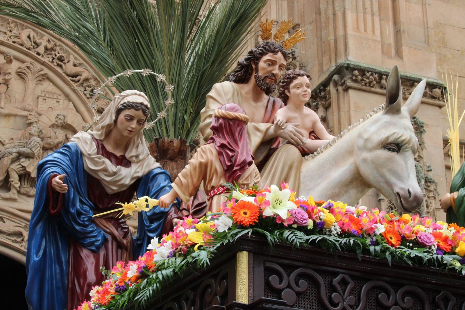 Procesión de la Borriquilla en Salamanca, Domingo de Ramos 13 de abril de 2025