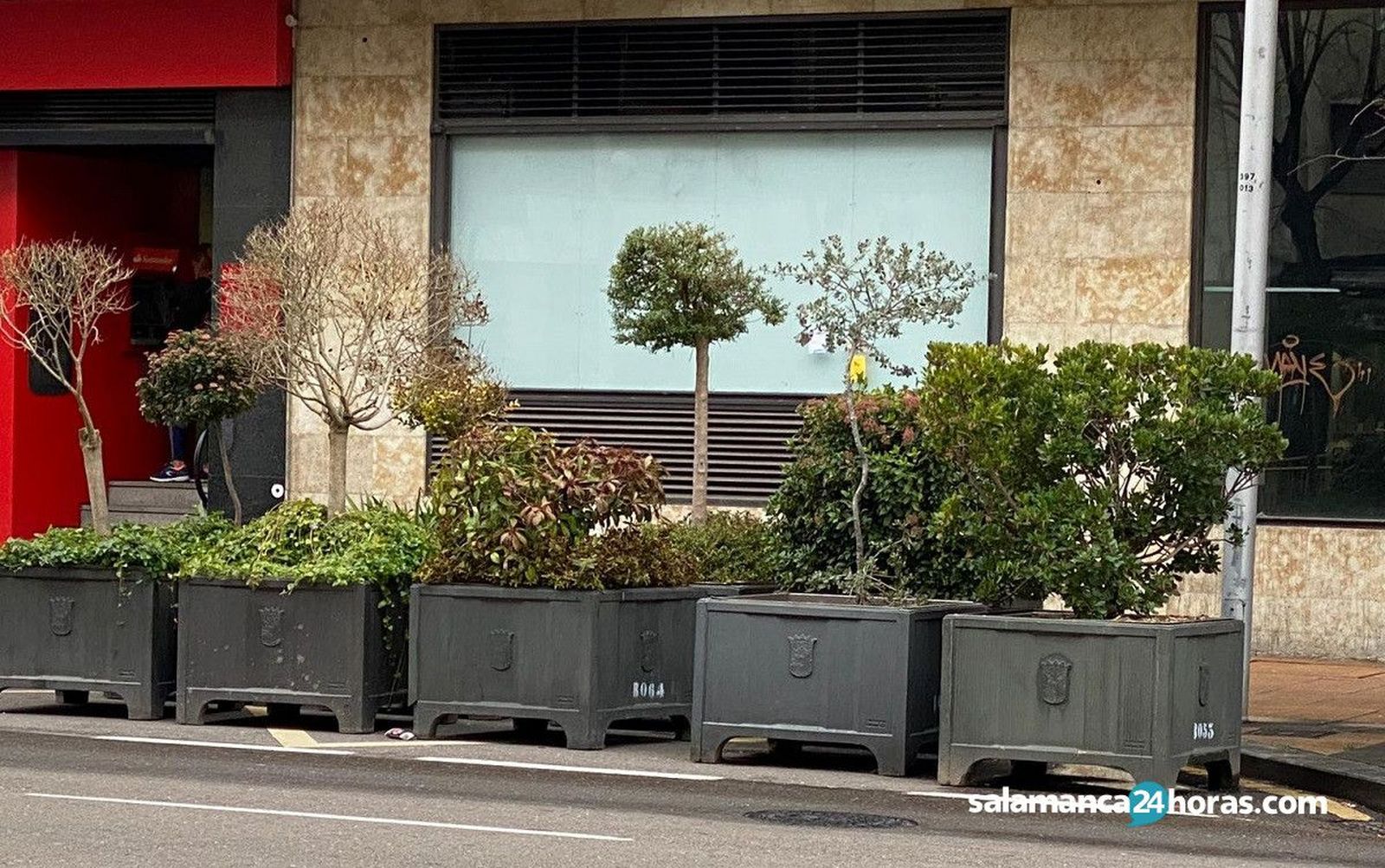 Maceteros y vallas para Cabalgata de Reyes 2020 (2)