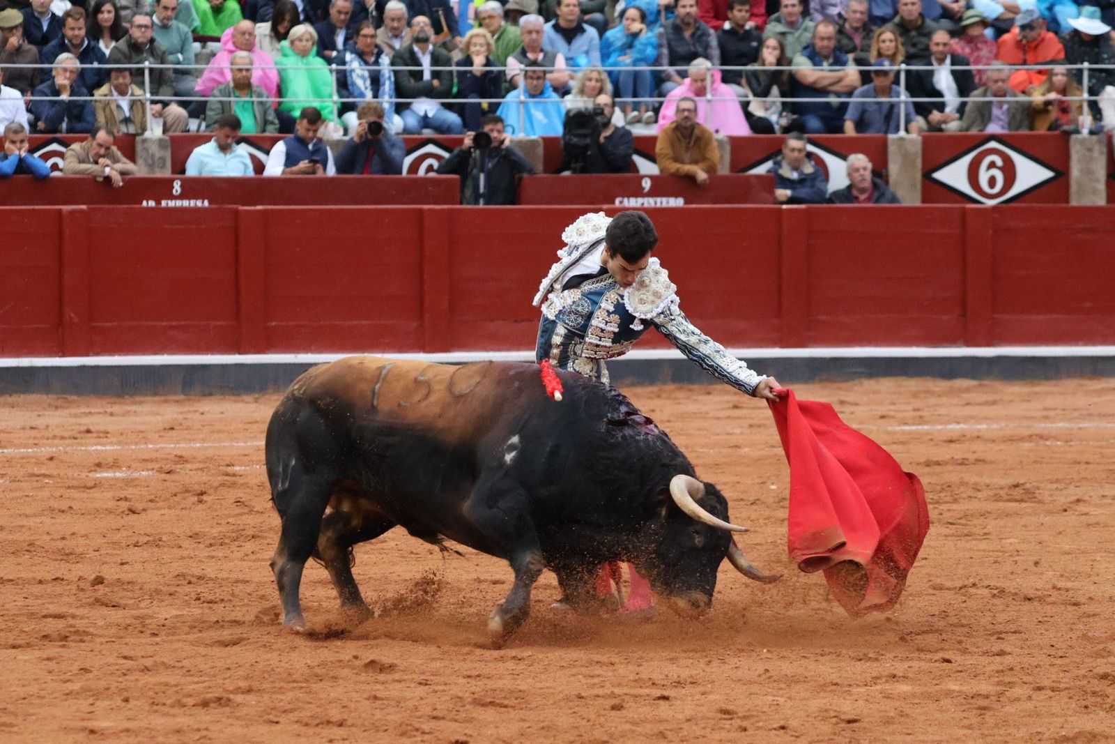 20230916191025-img-5691