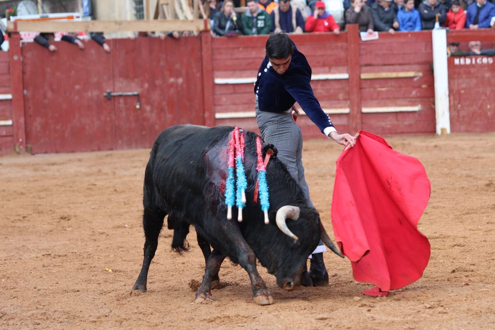 whatsapp-image-2023-02-21-at-17-36-00