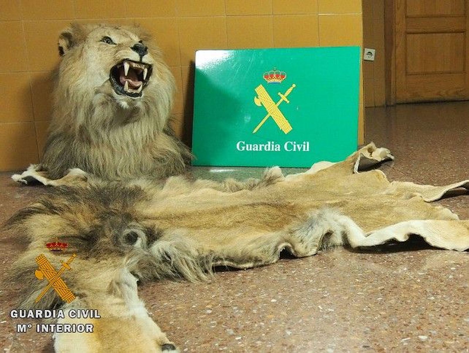 1509971875823sucesosleondn