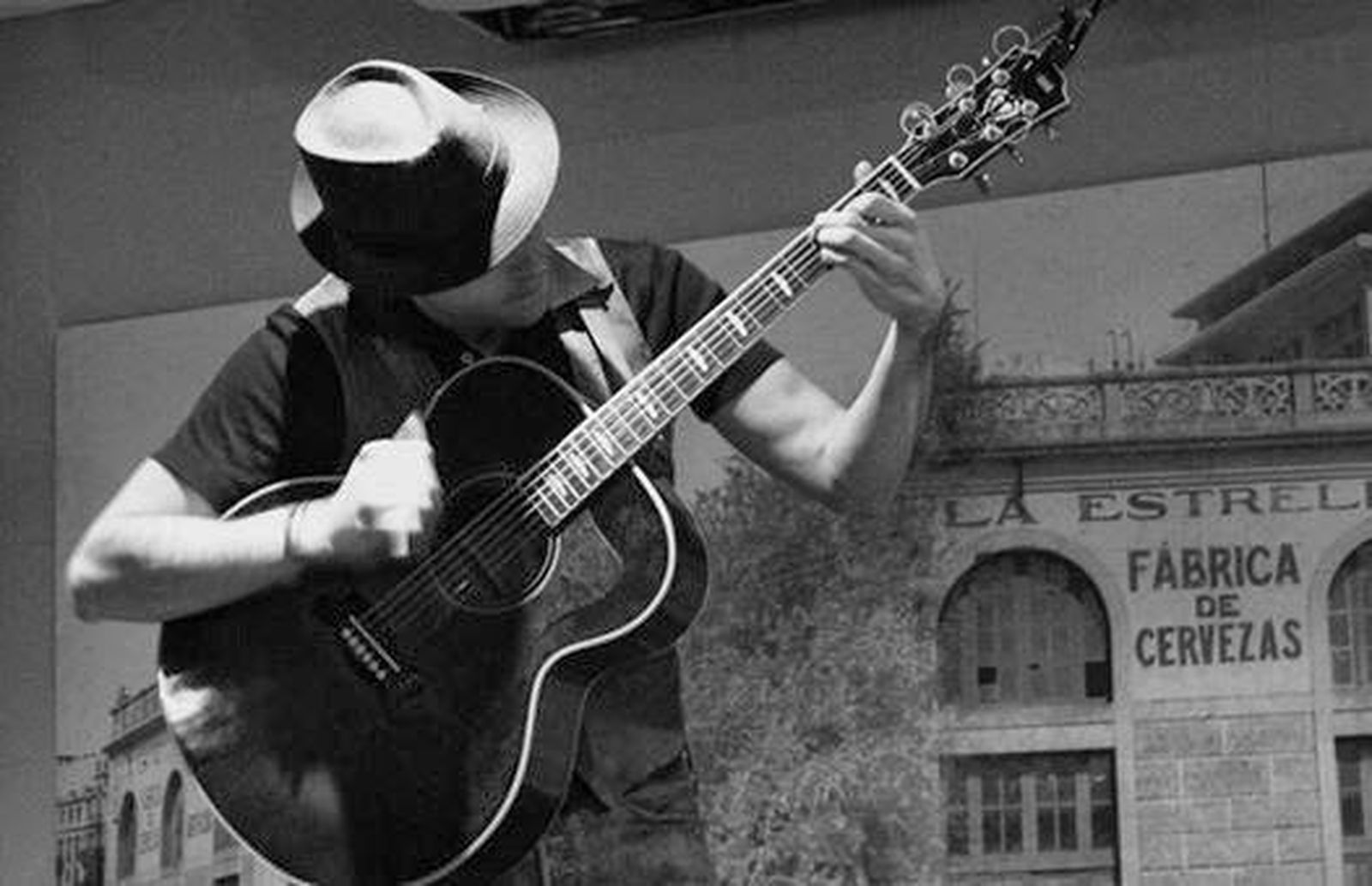 Concierto de Basset Violeta