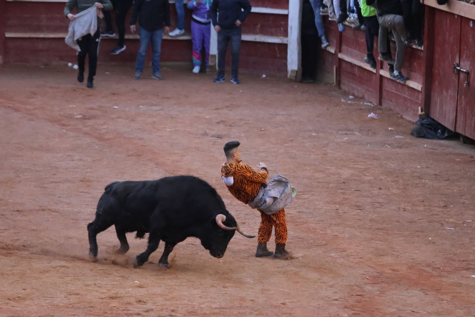Capea de Sábado tarde en el Carnaval del Toro de Ciudad Rodrigo