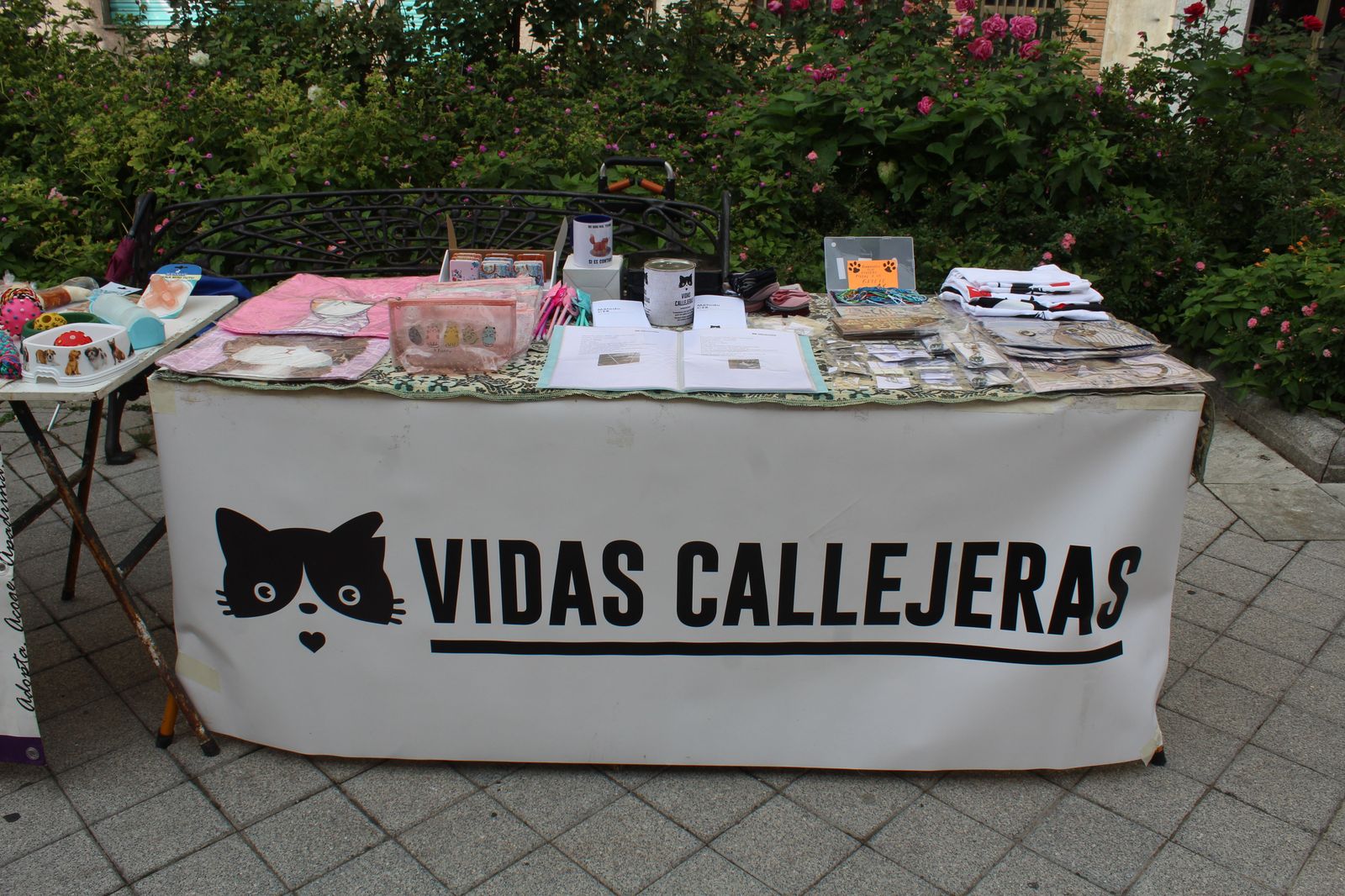 img-0704