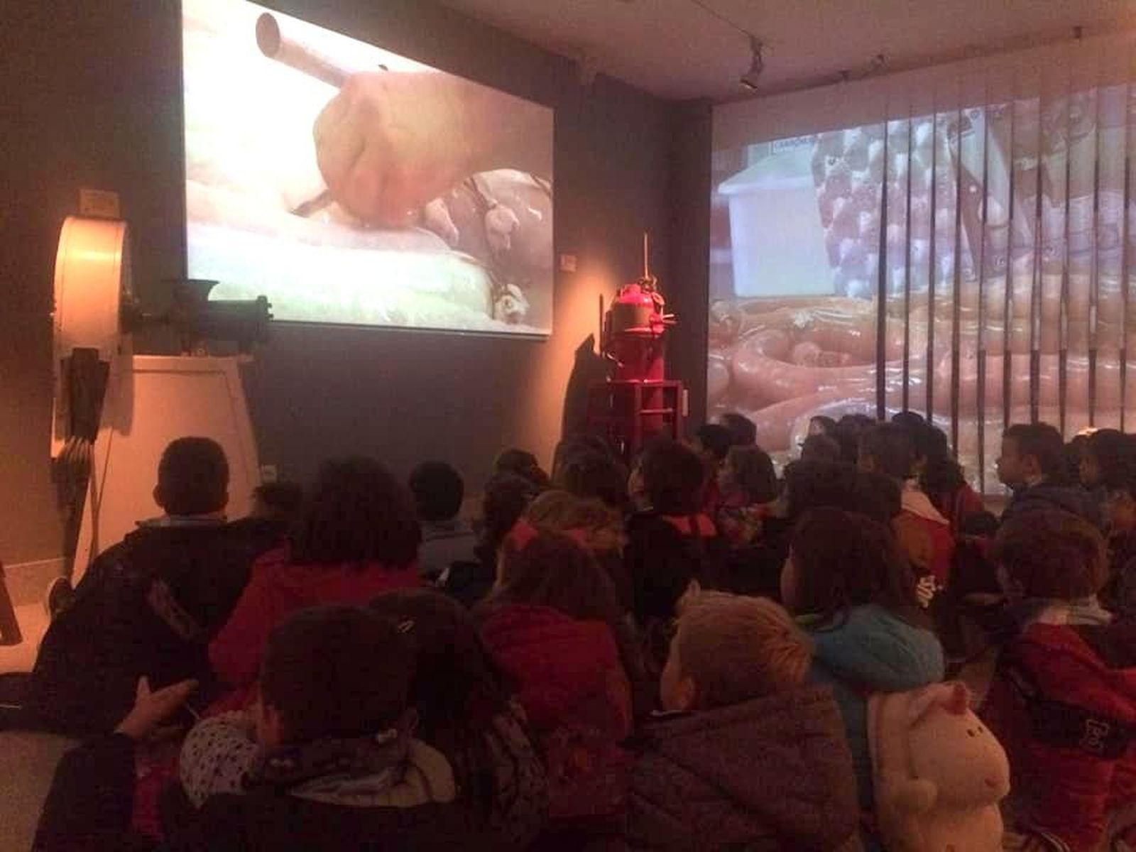 GUIJUELO (1) 960x720