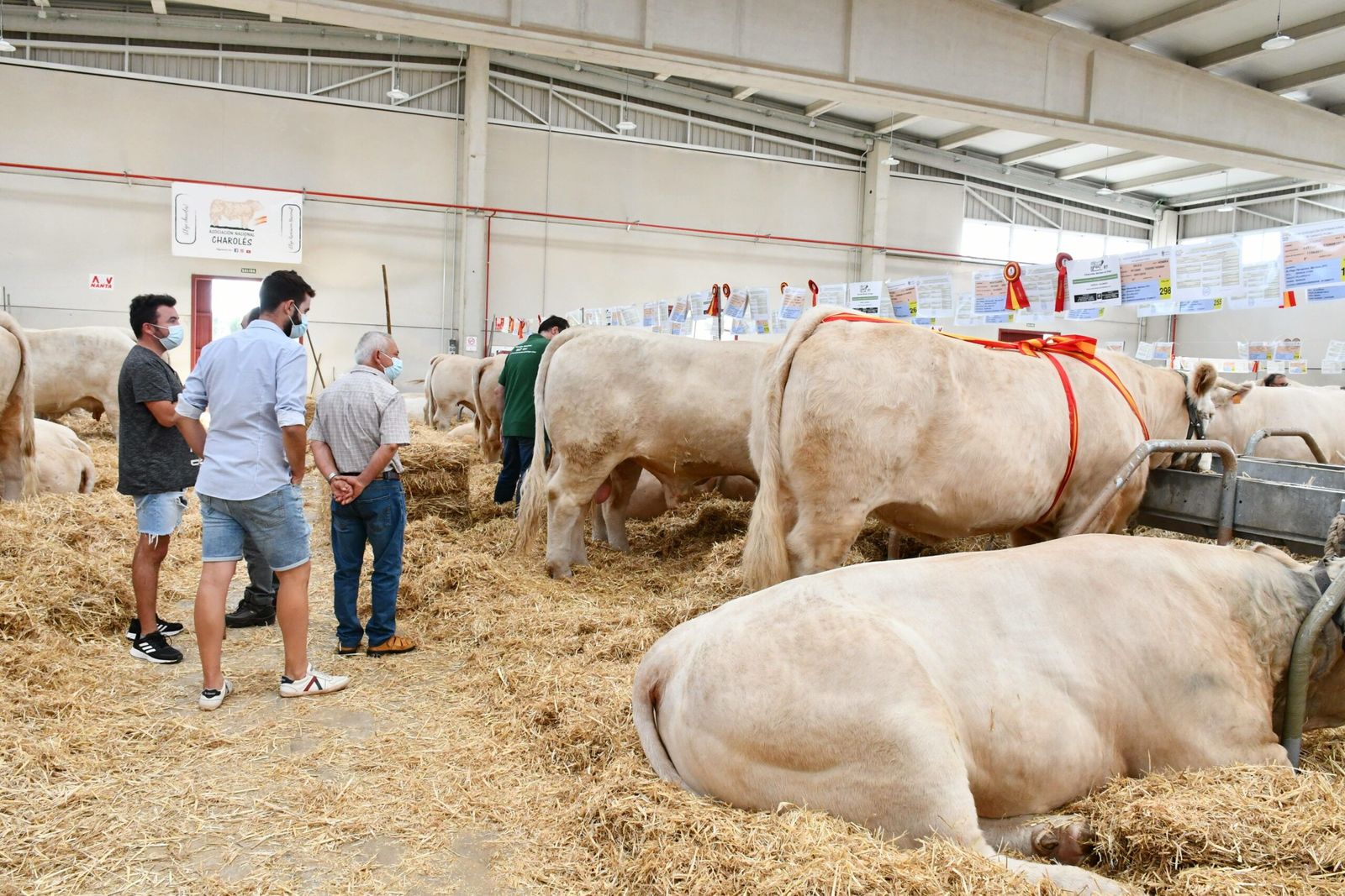 Alguno de los ejemplares que se subastan este miércoles