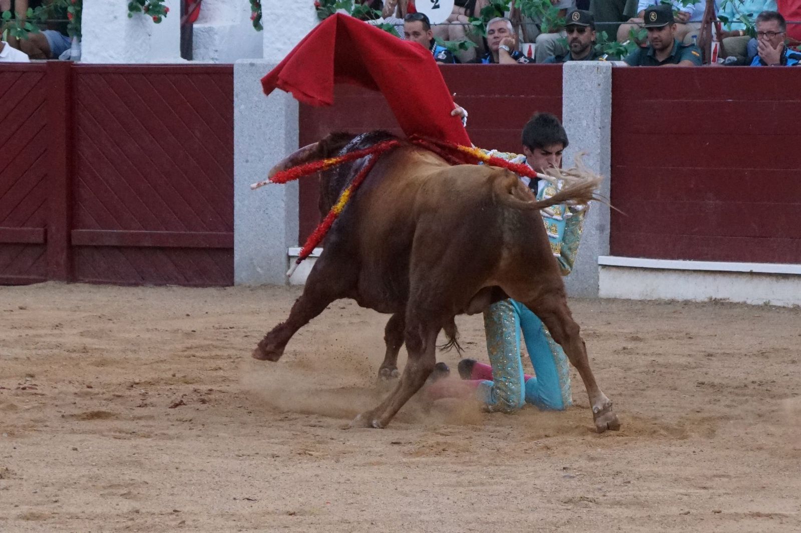 corrida-rejones-guijuelo-28