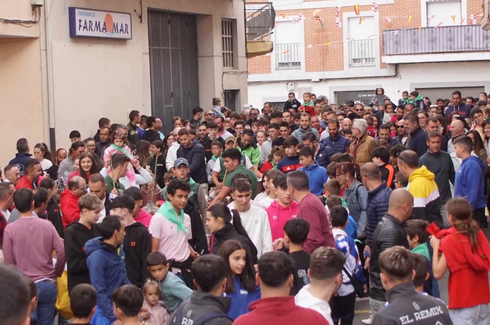 Alba de Tormes celebra un encierro, capea y encierro de minibueyes