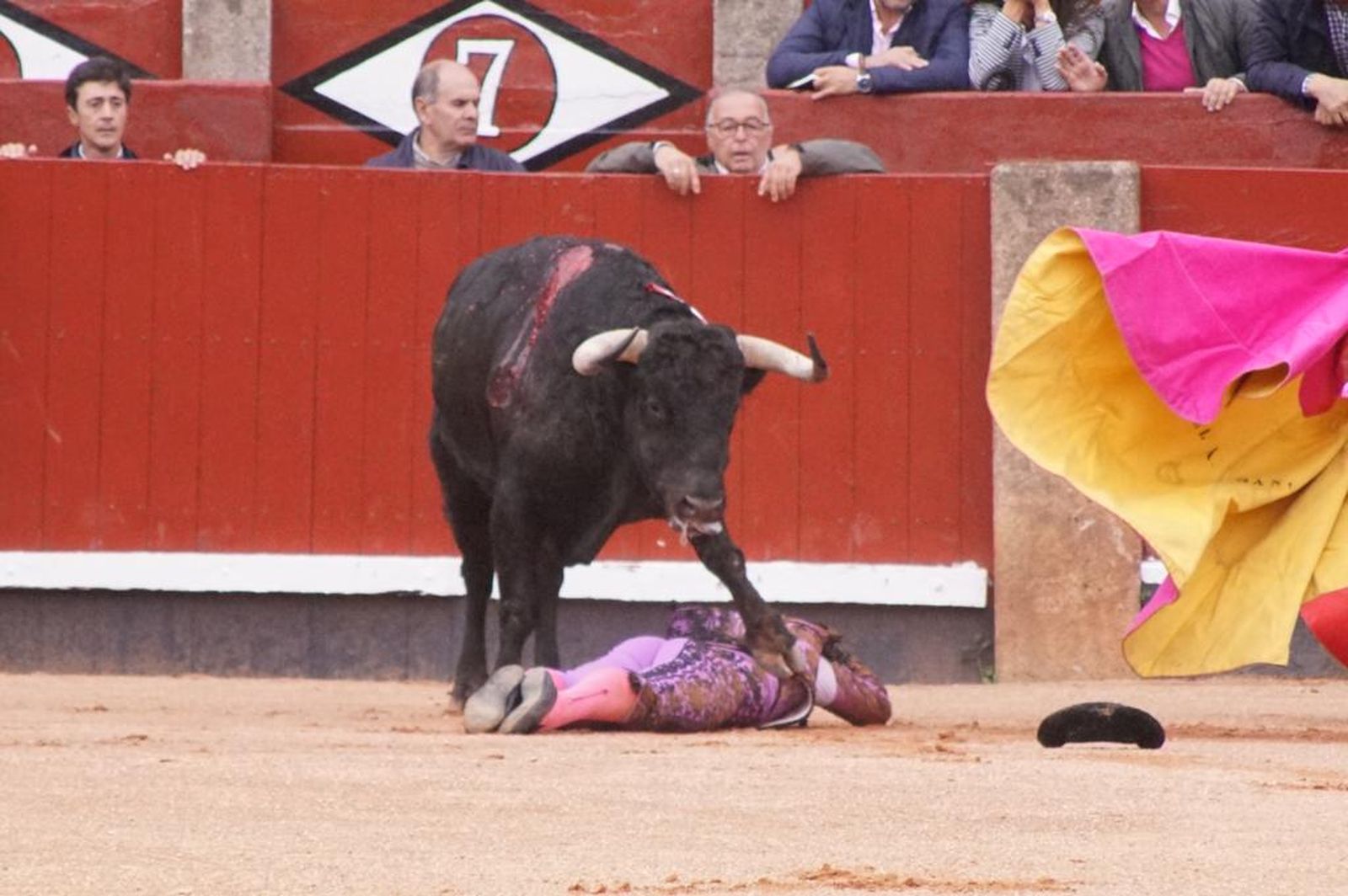 whatsapp-image-2023-09-21-at-18-46-27-4