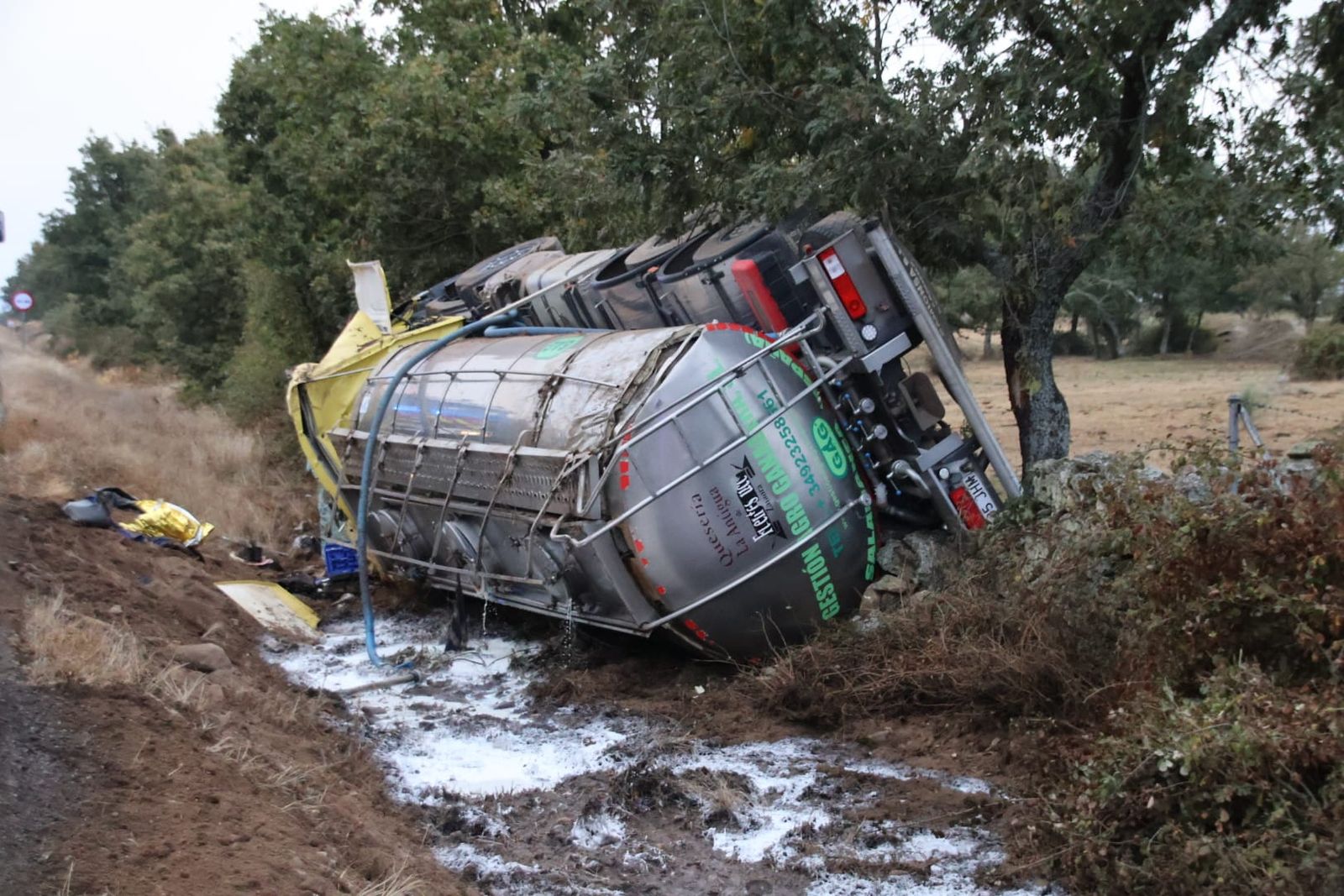 whatsapp-image-2024-10-03-at-09-06-31-2