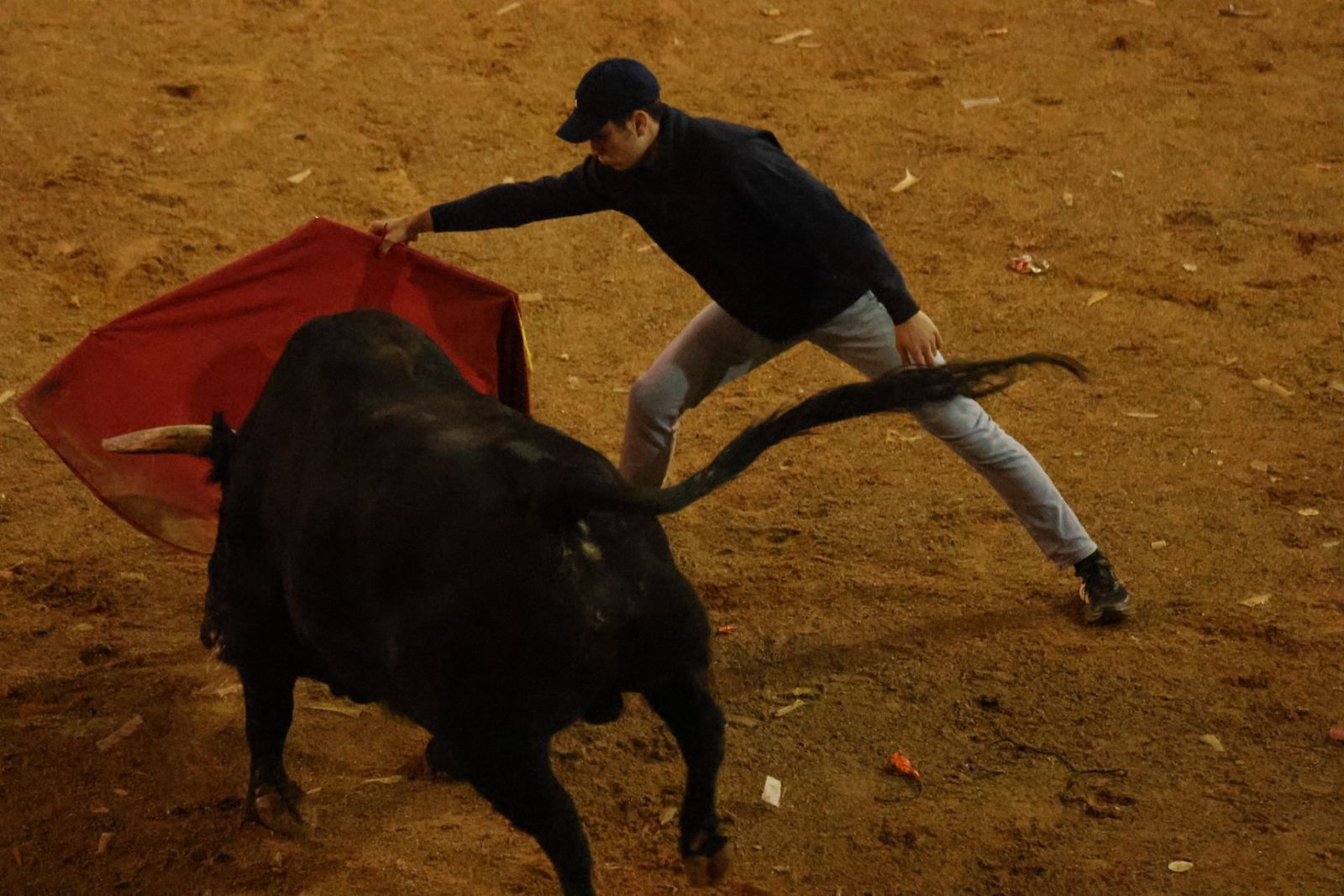 Capea Nocturna del Viernes en Ciudad Rodrigo
