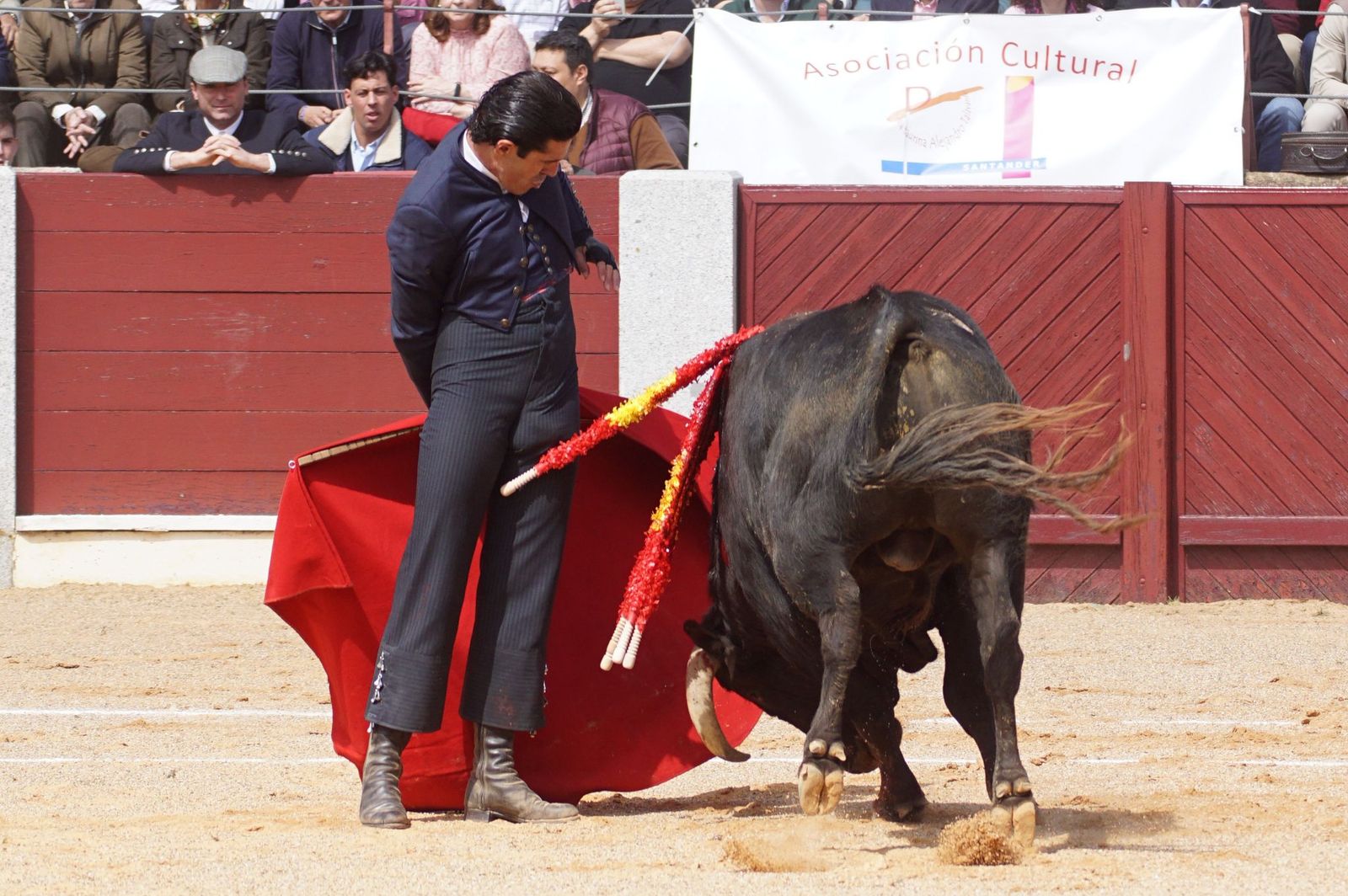 Festival taurino solidario por la esclerosis múltiple en Guijuelo