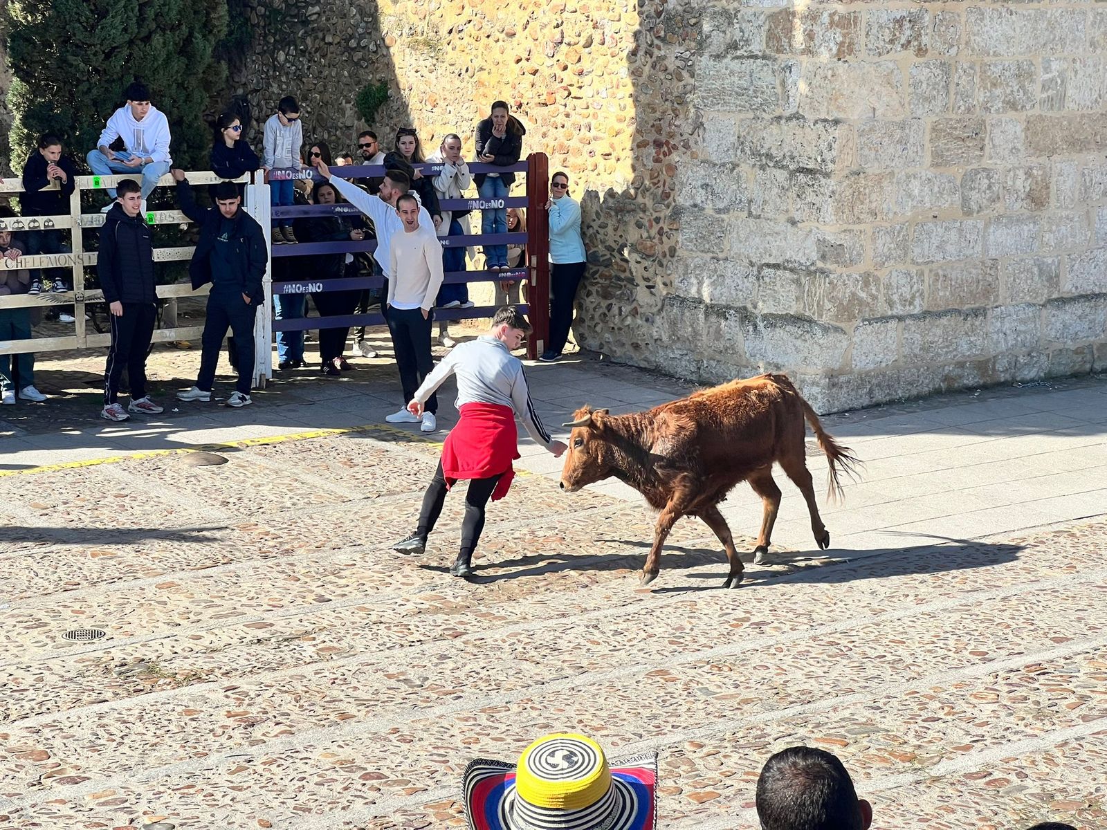 Domingo de piñata en Ciudad Rodrigo