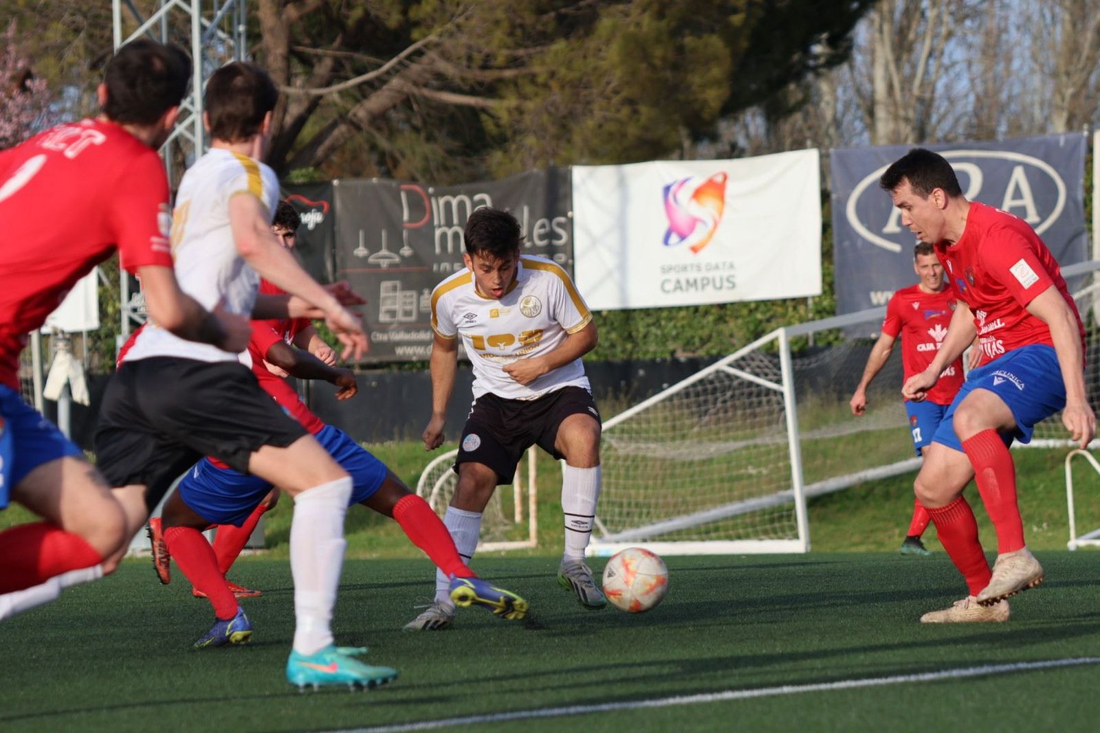 20240317182936-img-3269