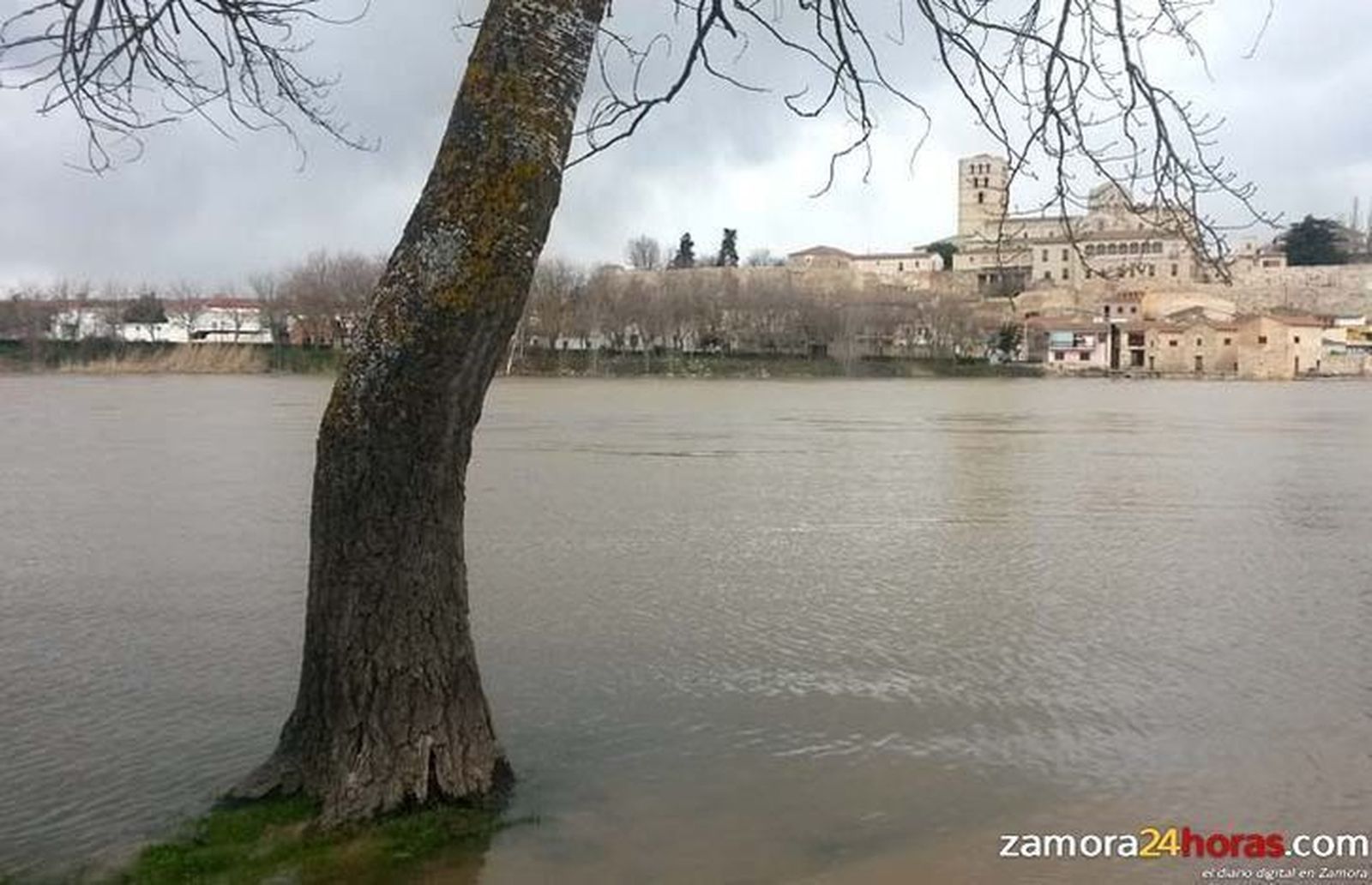La CHD presta “especial atención” a los caudales crecientes de los ríos Esla, Órbigo y Tera en la zona de confluencia cercana a Benavente