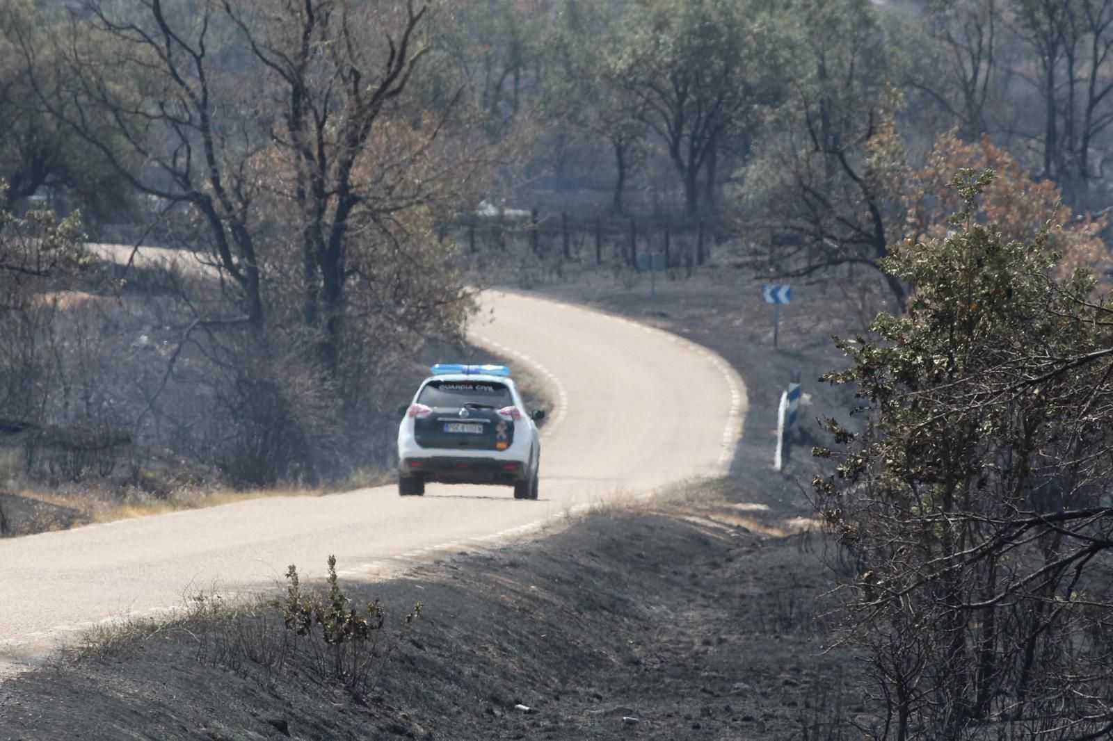 Así han quedado las zonas quemadas durante el incendio de Cipérez