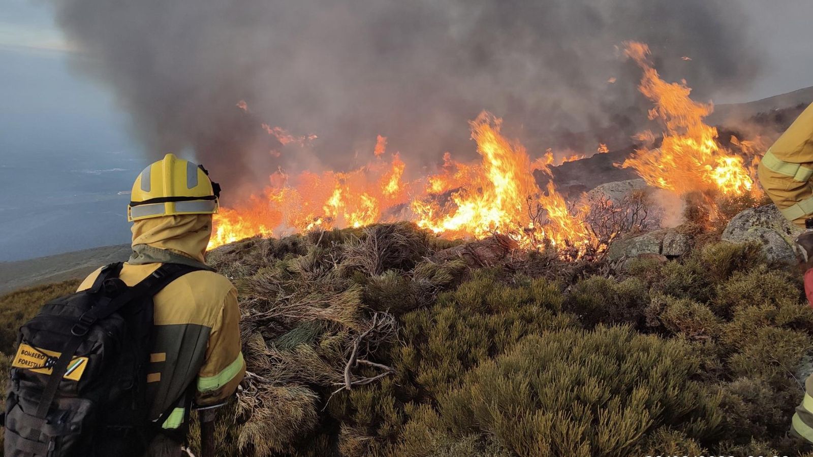 Incendio en Candelario| FOTO: BRIF PINOFRANQUEADO