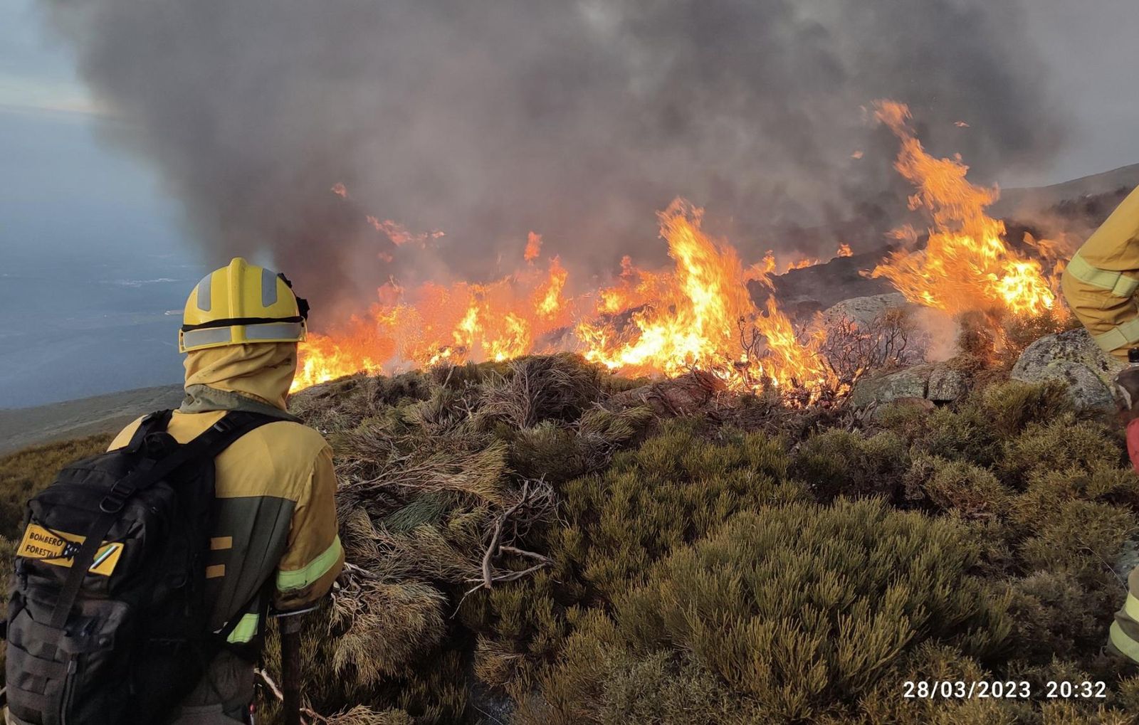Incendio en Candelario declarado el 28 de marzo | FOTO: BRIF PINOFRANQUEADO