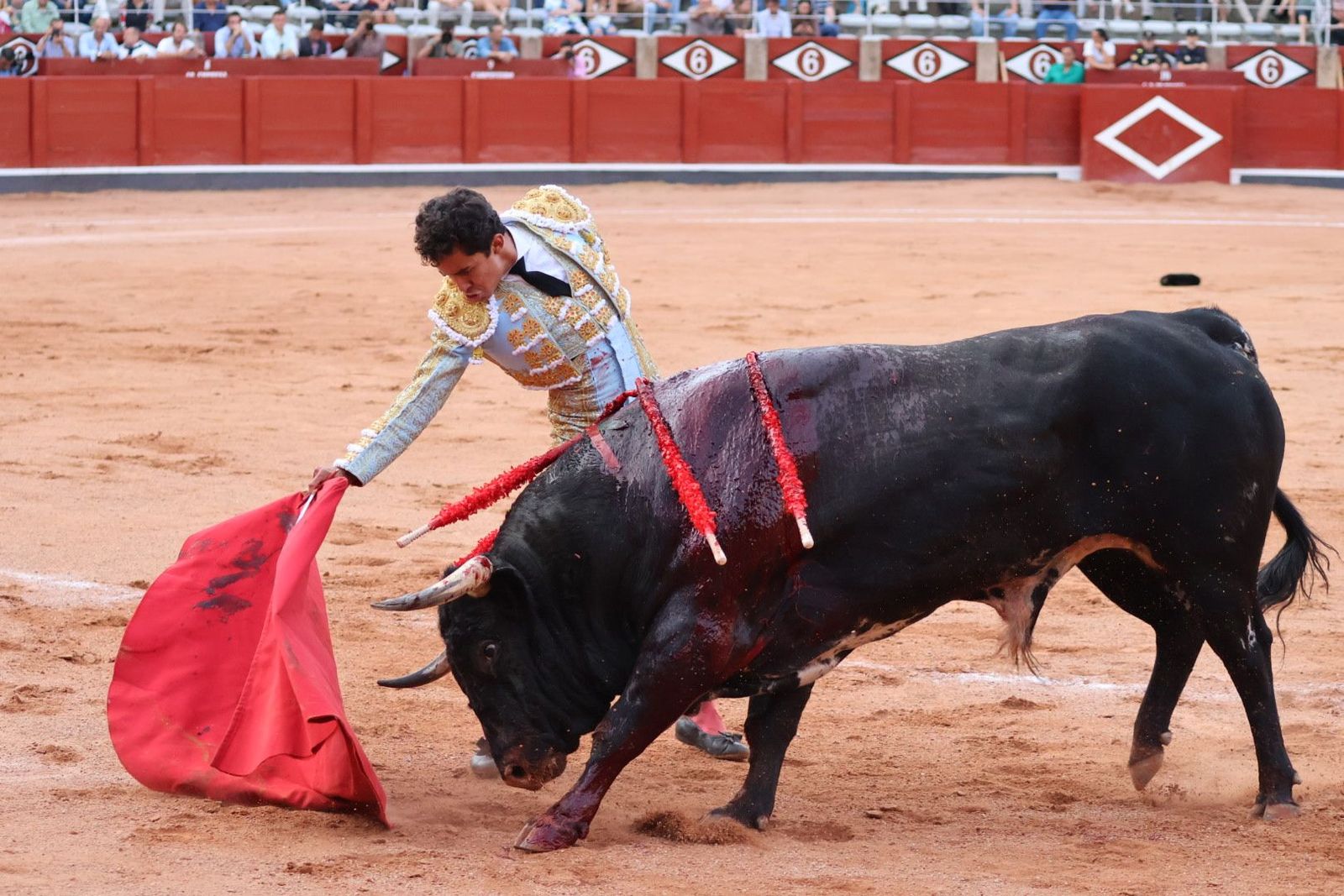 20230910190317-img-2238