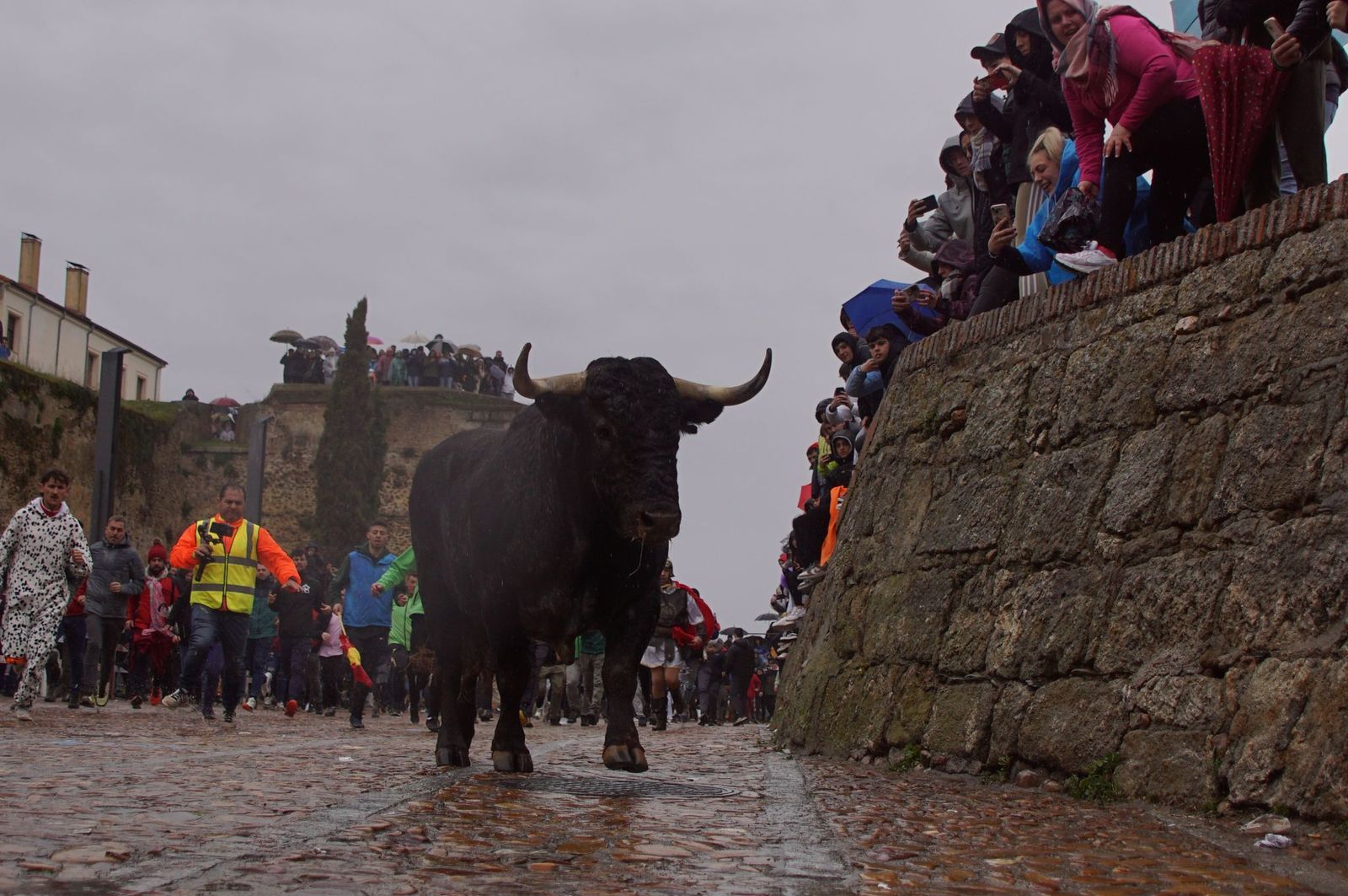 whatsapp-image-2025-03-03-at-14-51-23