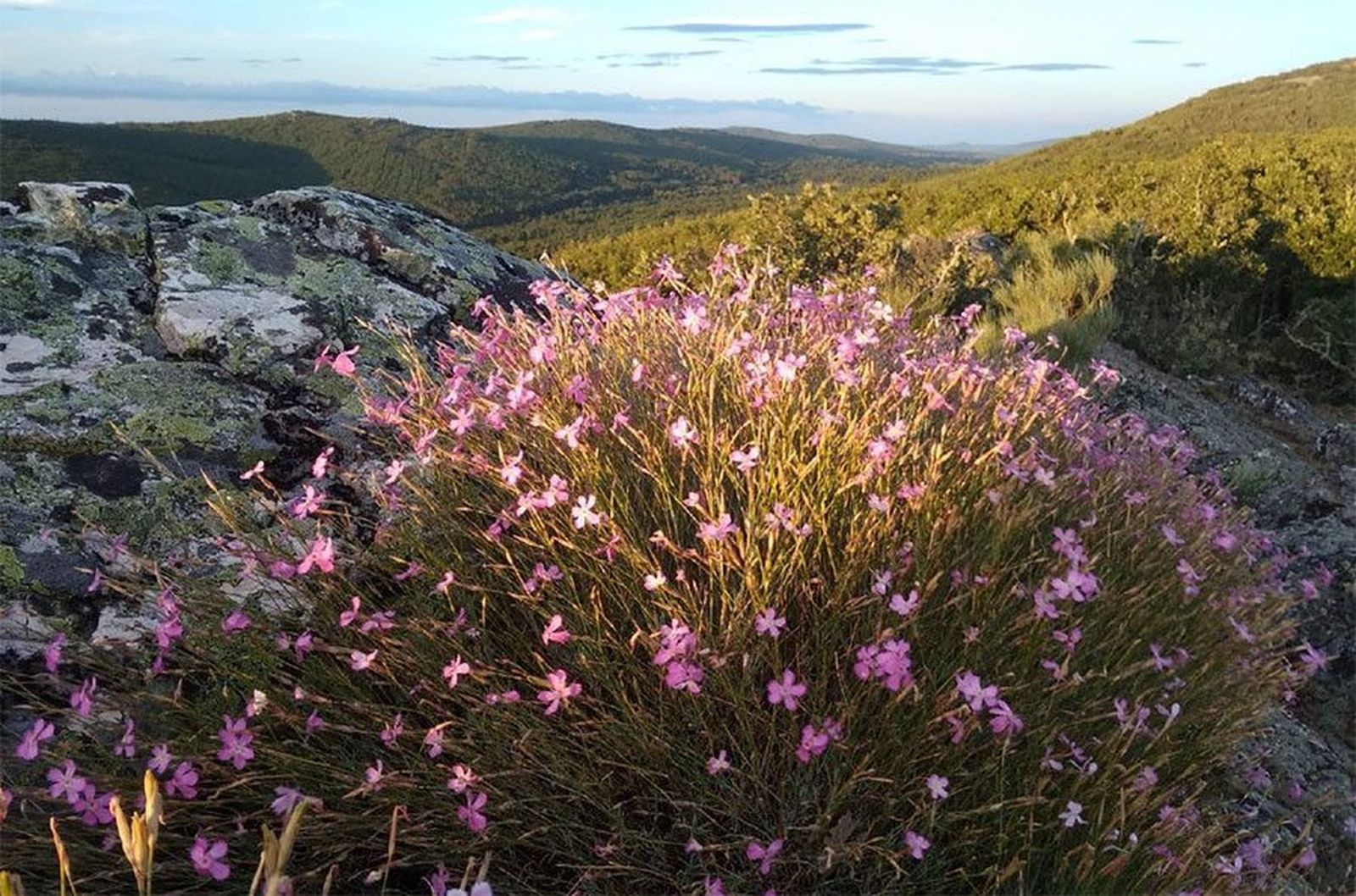 Mina cielo abierto calabor