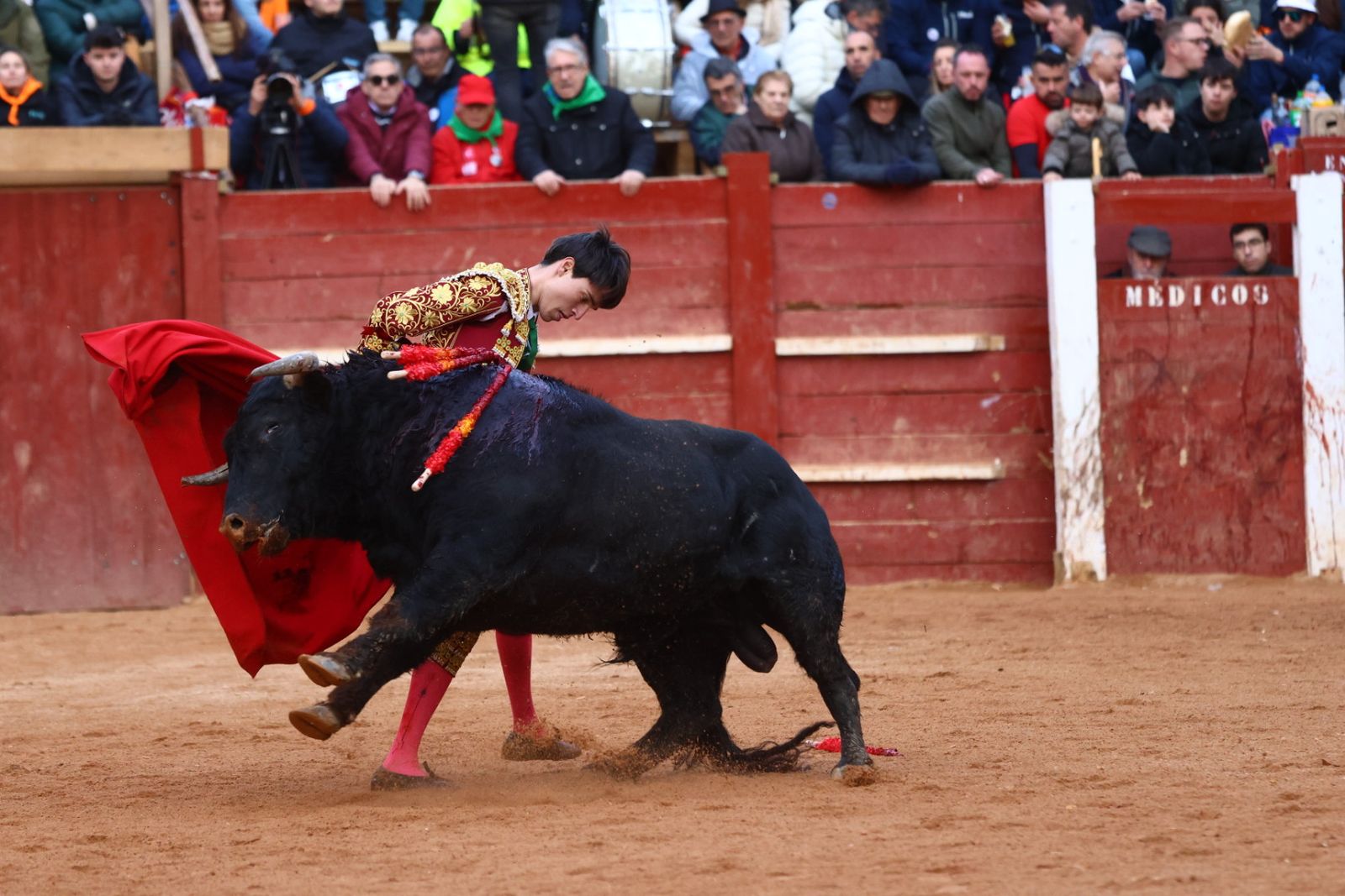 Novillada con picadores de lunes en el Carnaval del Toro de Ciudad Rodrigo 2026