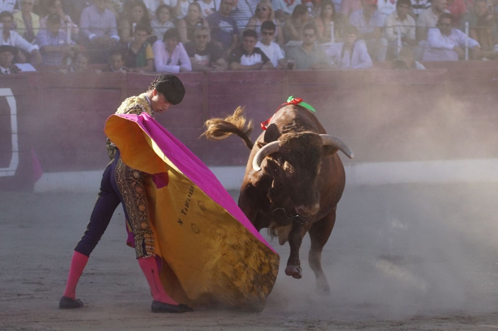 whatsapp-image-2024-06-02-at-22-12-00-1