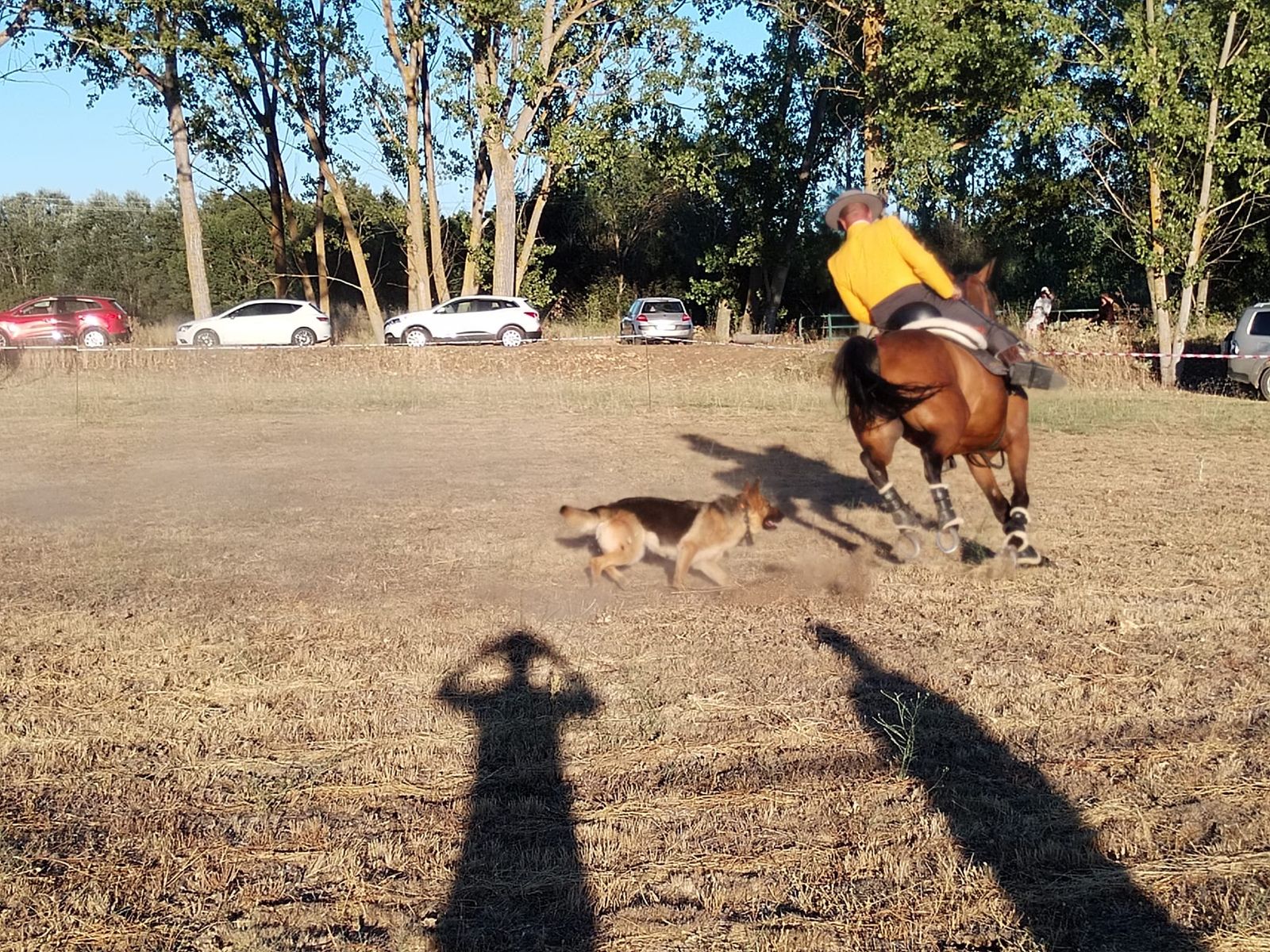 exhibicion-ecuestre-en-san-pedro-de-zamudia-14