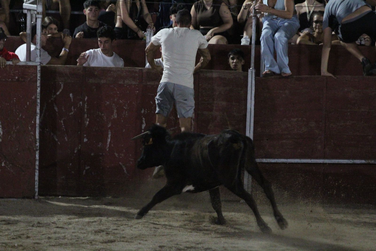 Así se ha vivido el Grand Prix de Carbajosa de la Sagrada y la posterior vaquilla