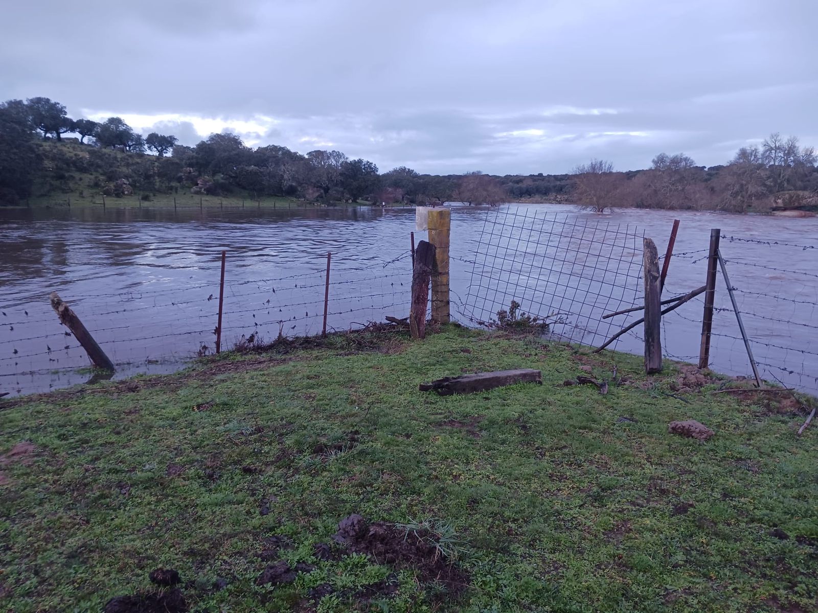 imagen-de-whatsapp-2024-01-17-a-las-18-20-03-8b5dd367