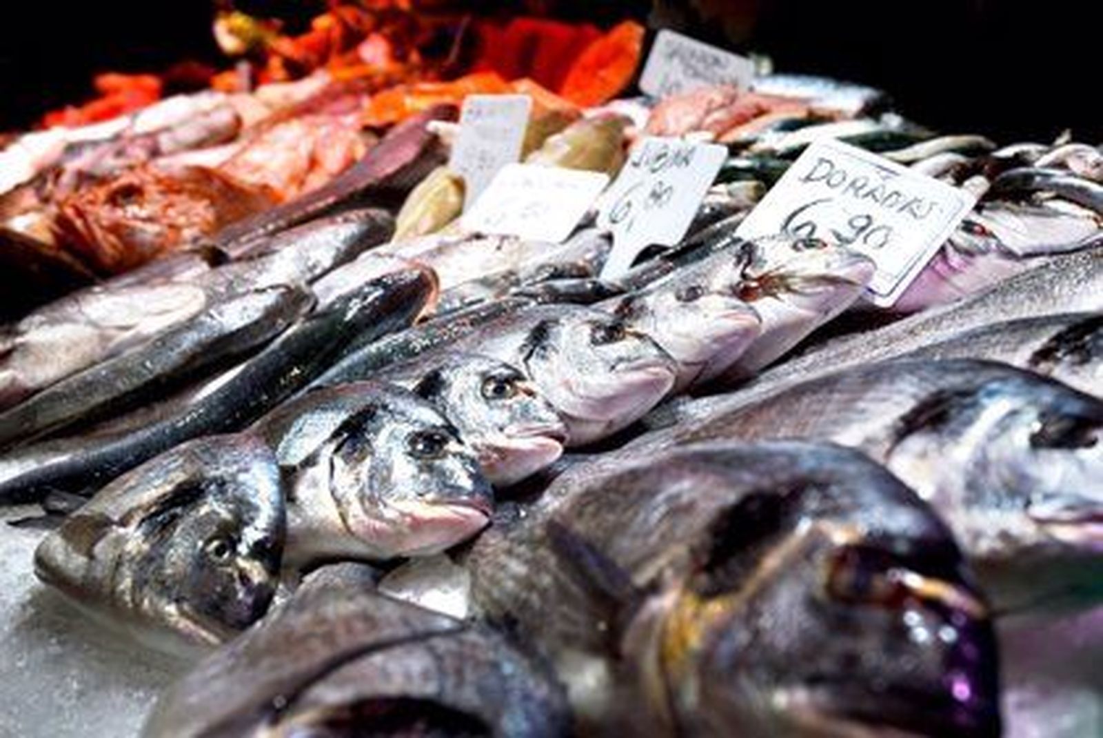 Pescado fresco y colorido en una pescadería. Pescado fresco y colorido en una pescadería.