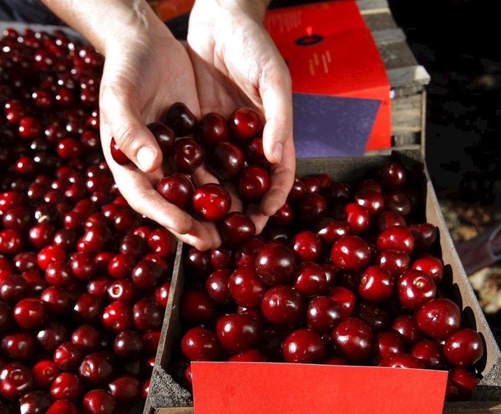 Fotonoticia 20150323130616 1024